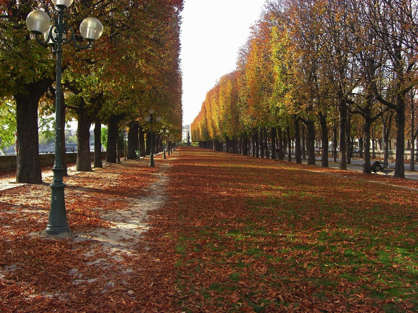 Paris, outside, park, cities, tranquility, Autumn, cemetery, pathway, direction, street, Trees, treelined, scenic, colorful, daytime, urban, fall, diminishing perspective, HD Wallpaper