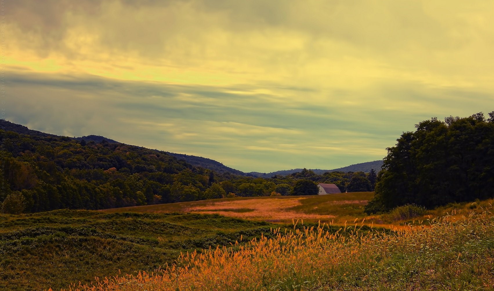 720P, nature, tree, season, rain, landscapes, wet, automne, leaf, campaign, fall, HD Wallpaper