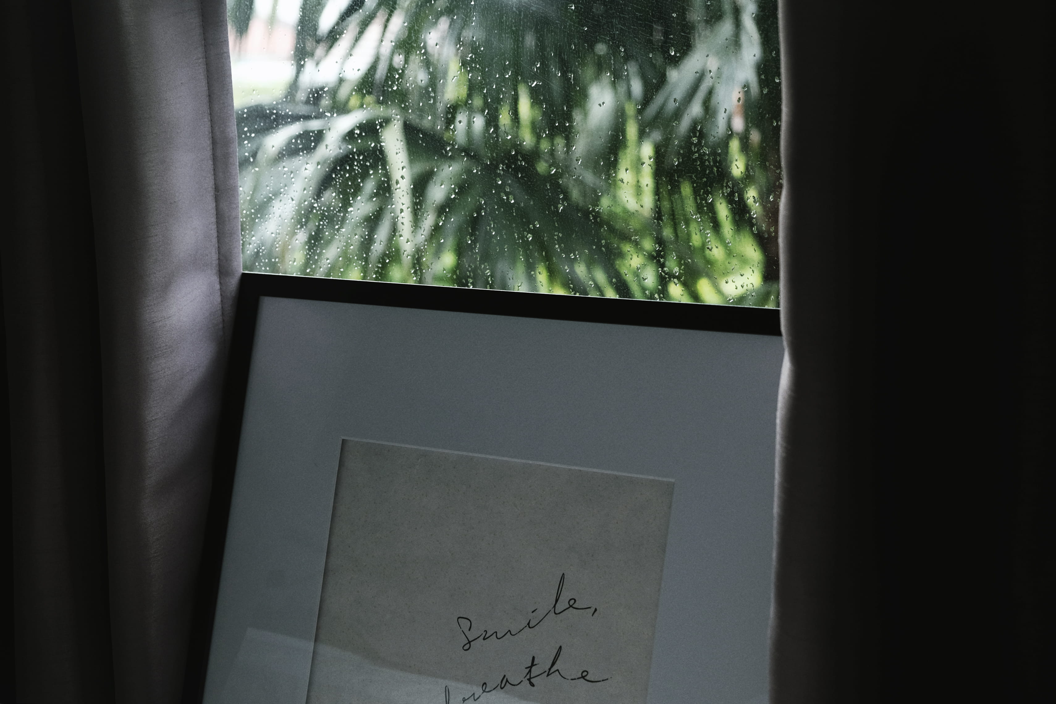 drop, feeling blue, frame, framed art, rain, moody, decorate, nature, indoors, glass - material, black, home interior, person, 2K, plant, tree, curtain, HD Wallpaper