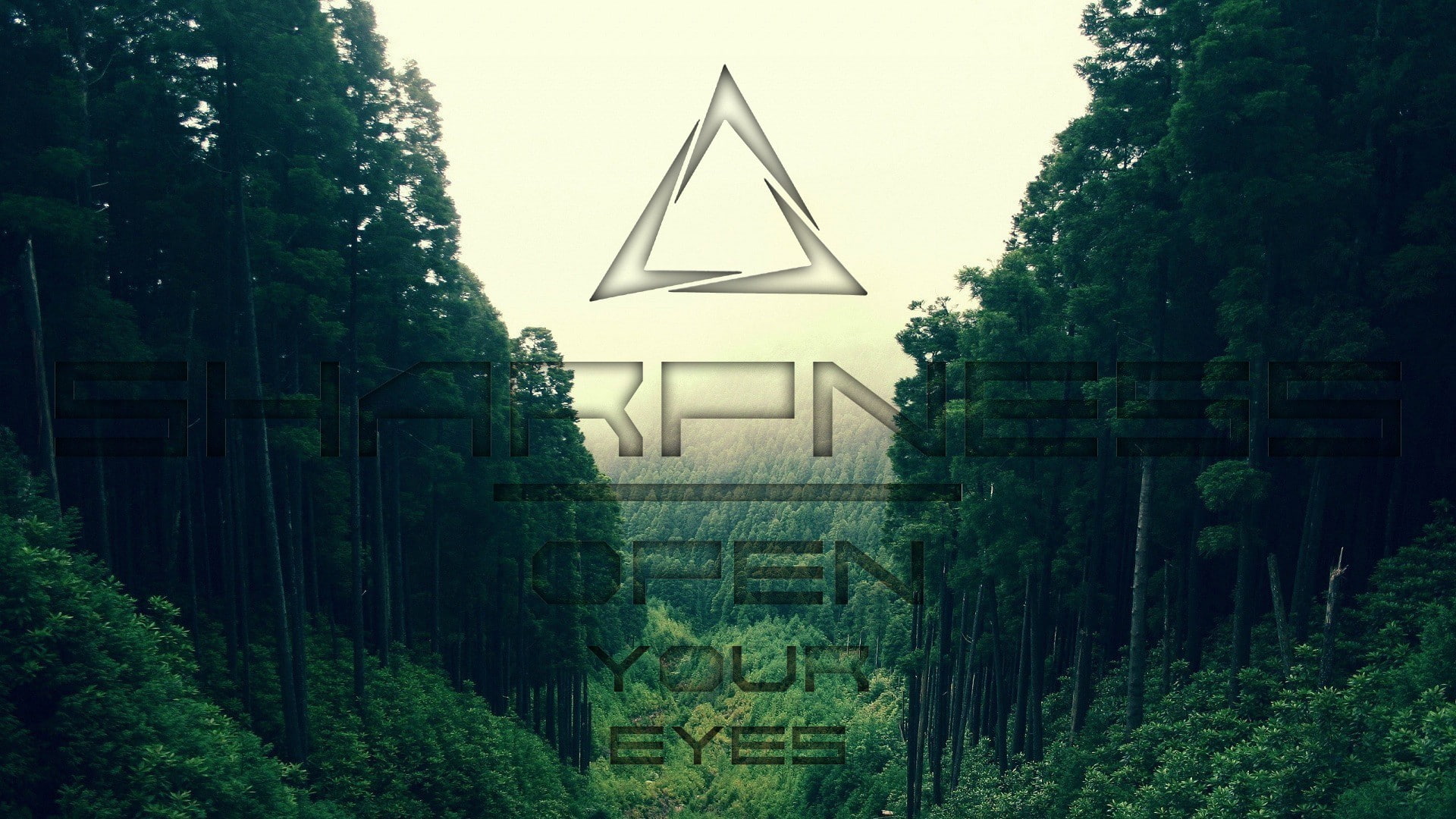 trees, brain, sharpness, 1080P, eyes, text, HD Wallpaper