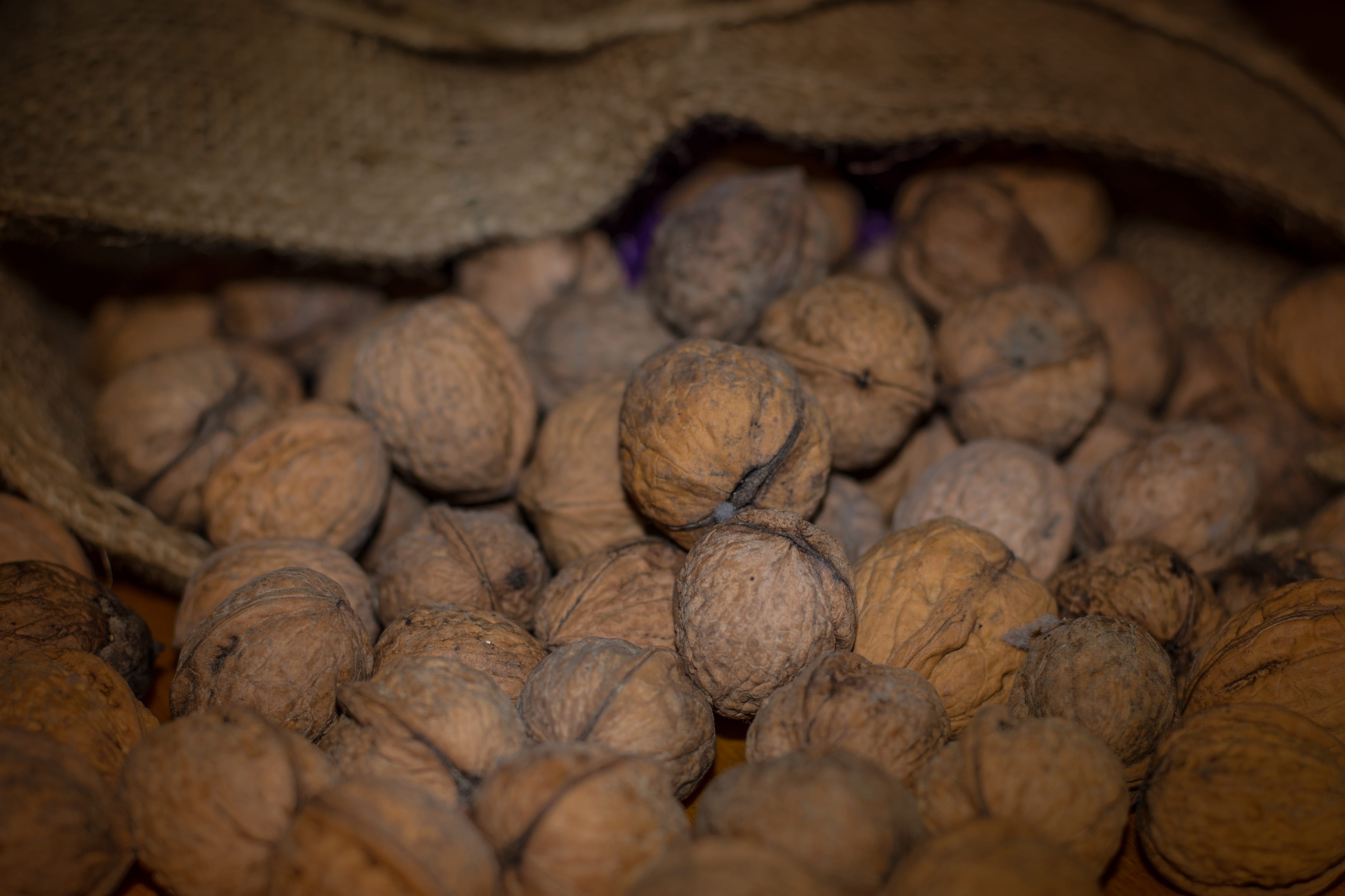 natural condition, tasty, indoors, wellbeing, vegetable, think, freshness, bag, left untreated, fruit bowl, nutrition, walnuts, brain, food and drink, healthy, HD Wallpaper