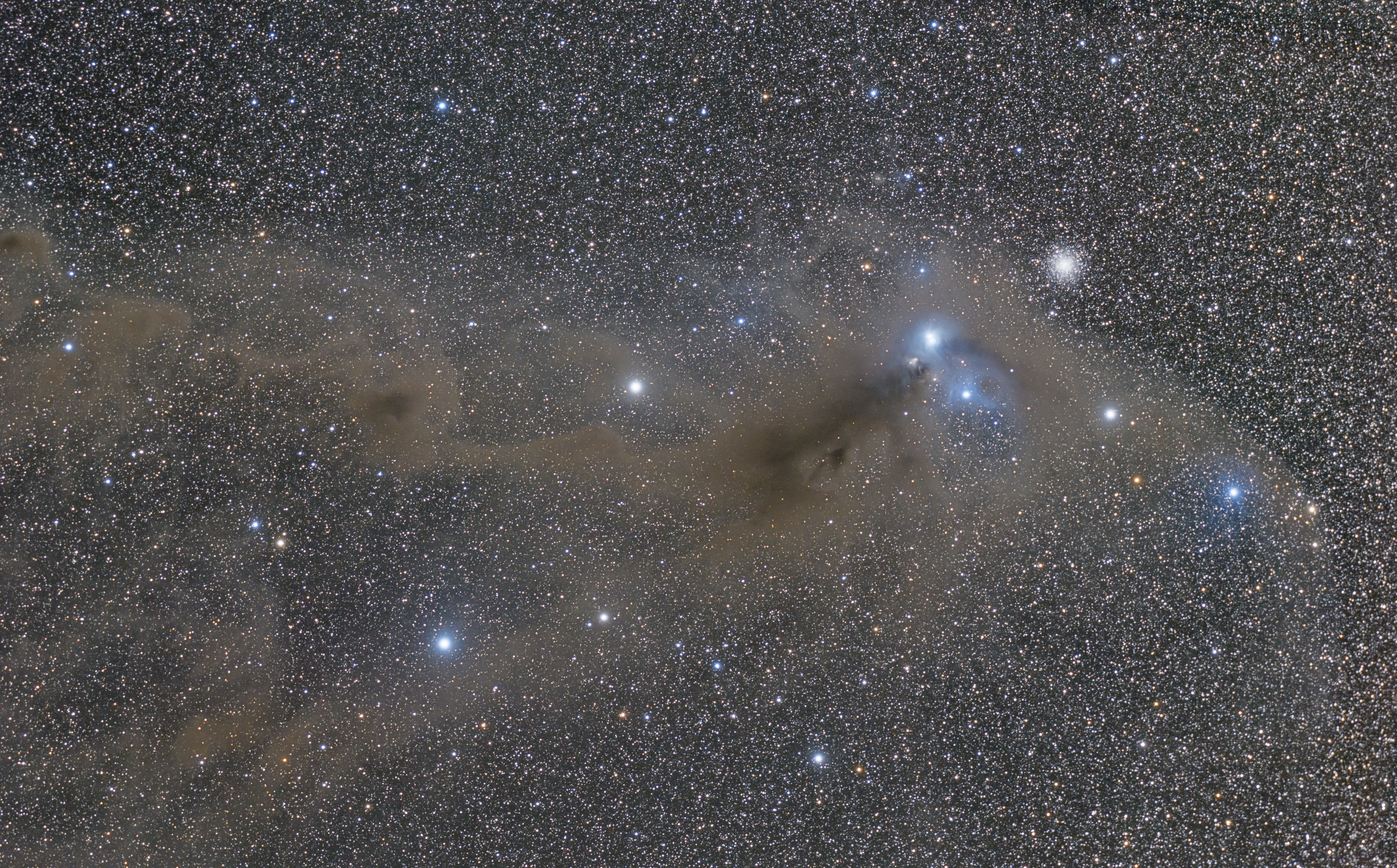 Corona Australis, hemisphere, sky, South Crown, 4K, South, dim, constellation, HD Wallpaper