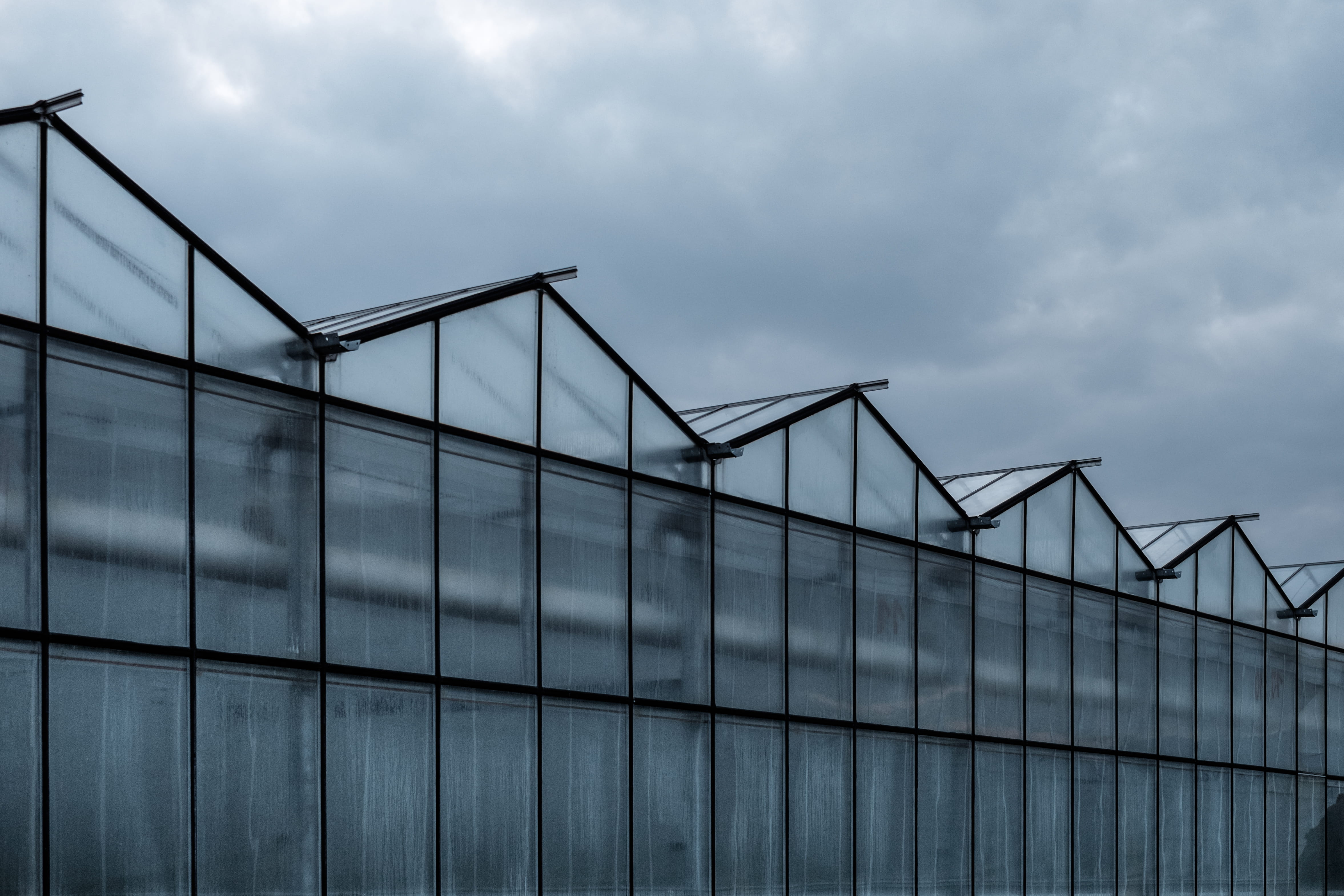 copy space, overcast, cloudy, no people, genetic modification, 4K, black, construction Industry, nature, education, photography, gray, built Structure, HD Wallpaper