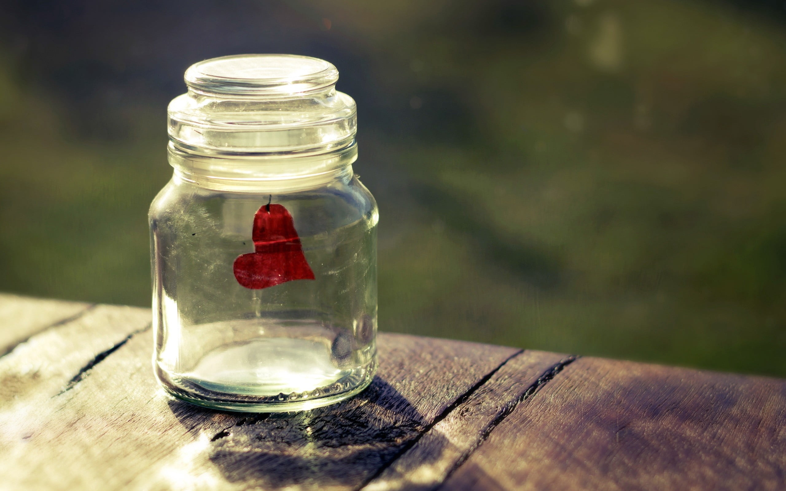 2K, glass - Material, mason, sunlight, clear, backgrounds, table, nature, container, plant, red, focus on foreground, freshness, outdoors, close-up, jar, HD Wallpaper