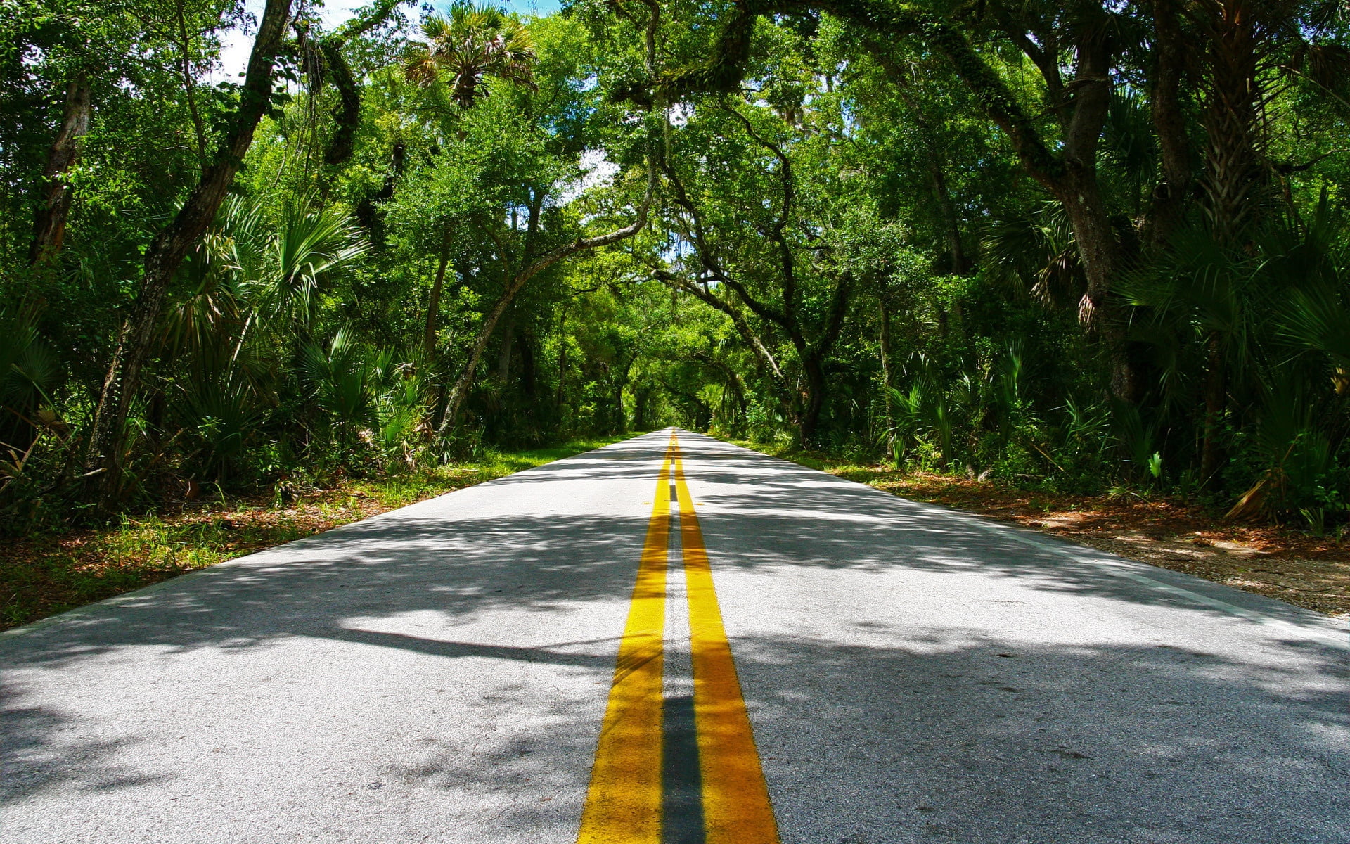 tranquility, dividing Line, grass, non-Urban Scene, empty road, direction, no People, single Lane Road, outdoors, growth, transportation, double yellow line, HD Wallpaper