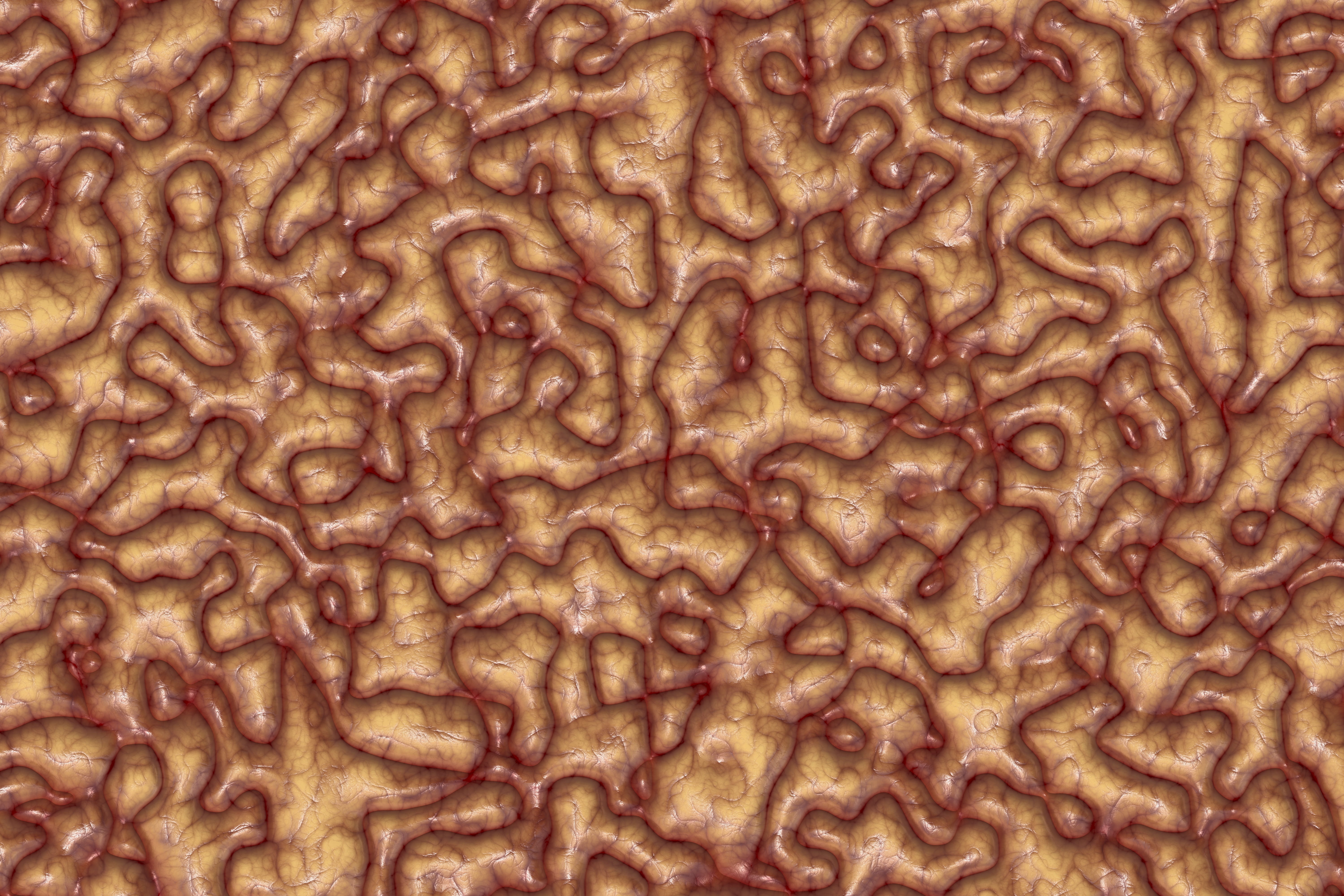 repetition, science, grey matter, abstract, cerebrum, food and drink, freshness, full frame, mass, meat, backgrounds, brain, textured, coils, biology, wellbeing, HD Wallpaper