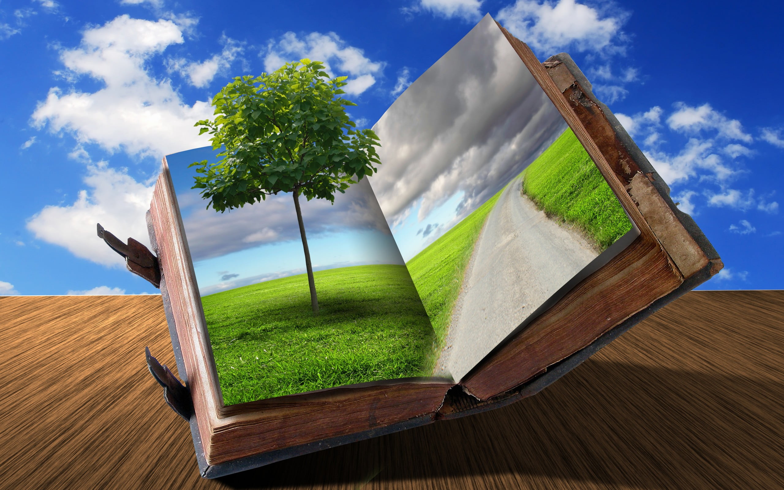 close-up, table, grass, road, green, day, wood - material, field, architecture, 2K, art and craft, tree, nature, Art And Creative, sky, plant, cloud - sky, HD Wallpaper