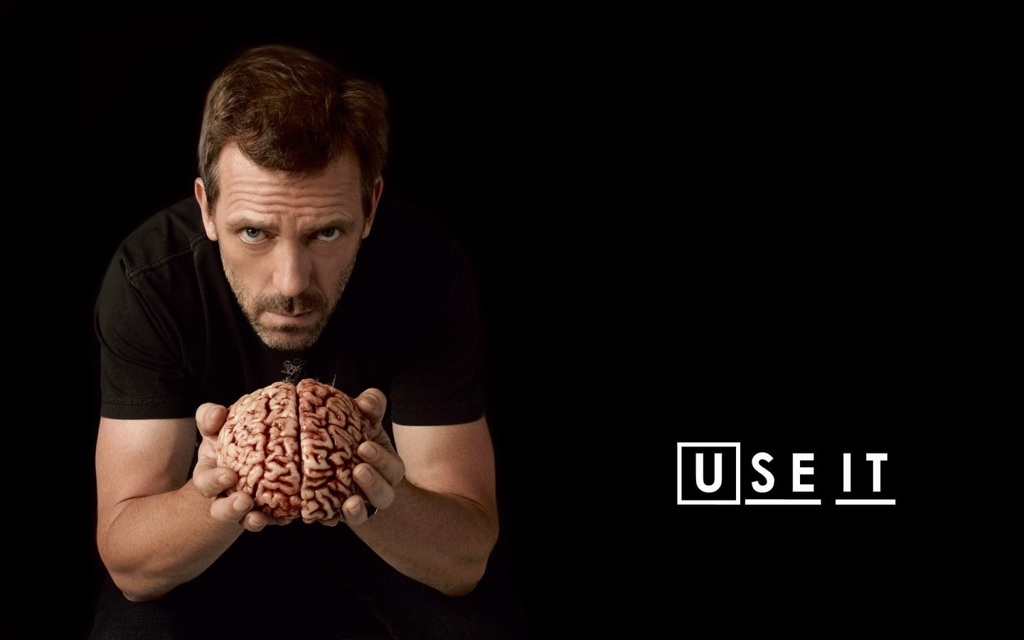 720P, Gregory House, Hugh Laurie, House, Brain, TV Show, HD Wallpaper