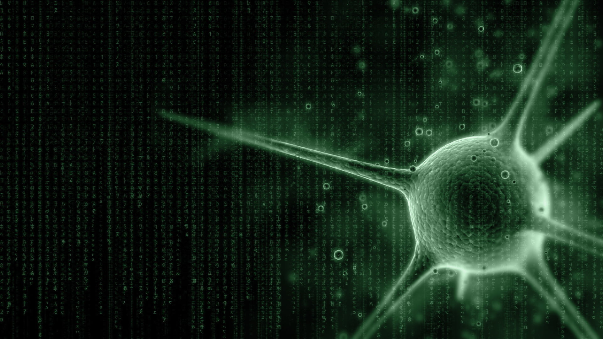 abstract, technology, nature, studio shot, close-up, backgrounds, medicine And Science, concepts, digitally Generated Image, green, matrix, human Cell, HD Wallpaper