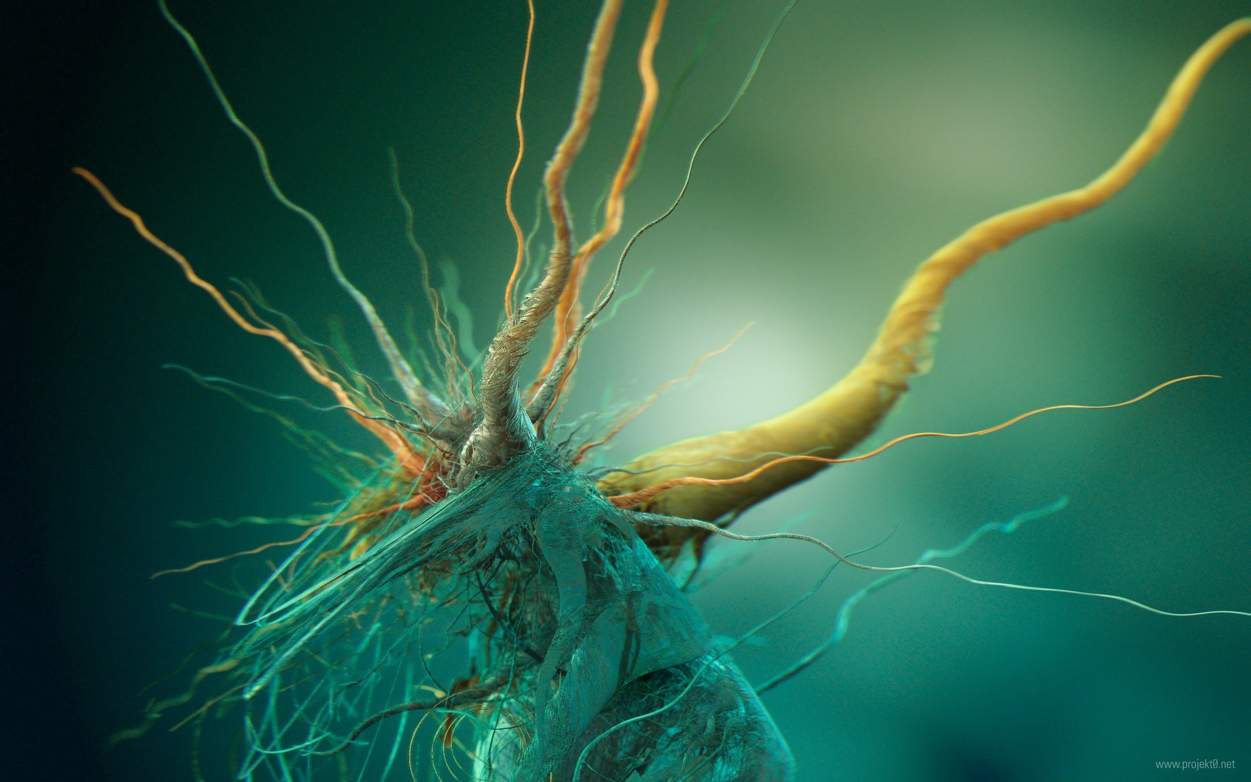 tangled, vegetable, full frame, root, organic, close-up, plant, food and drink, tree, outdoors, growth, day, leaf, food, abstract brains cells biology, HD Wallpaper
