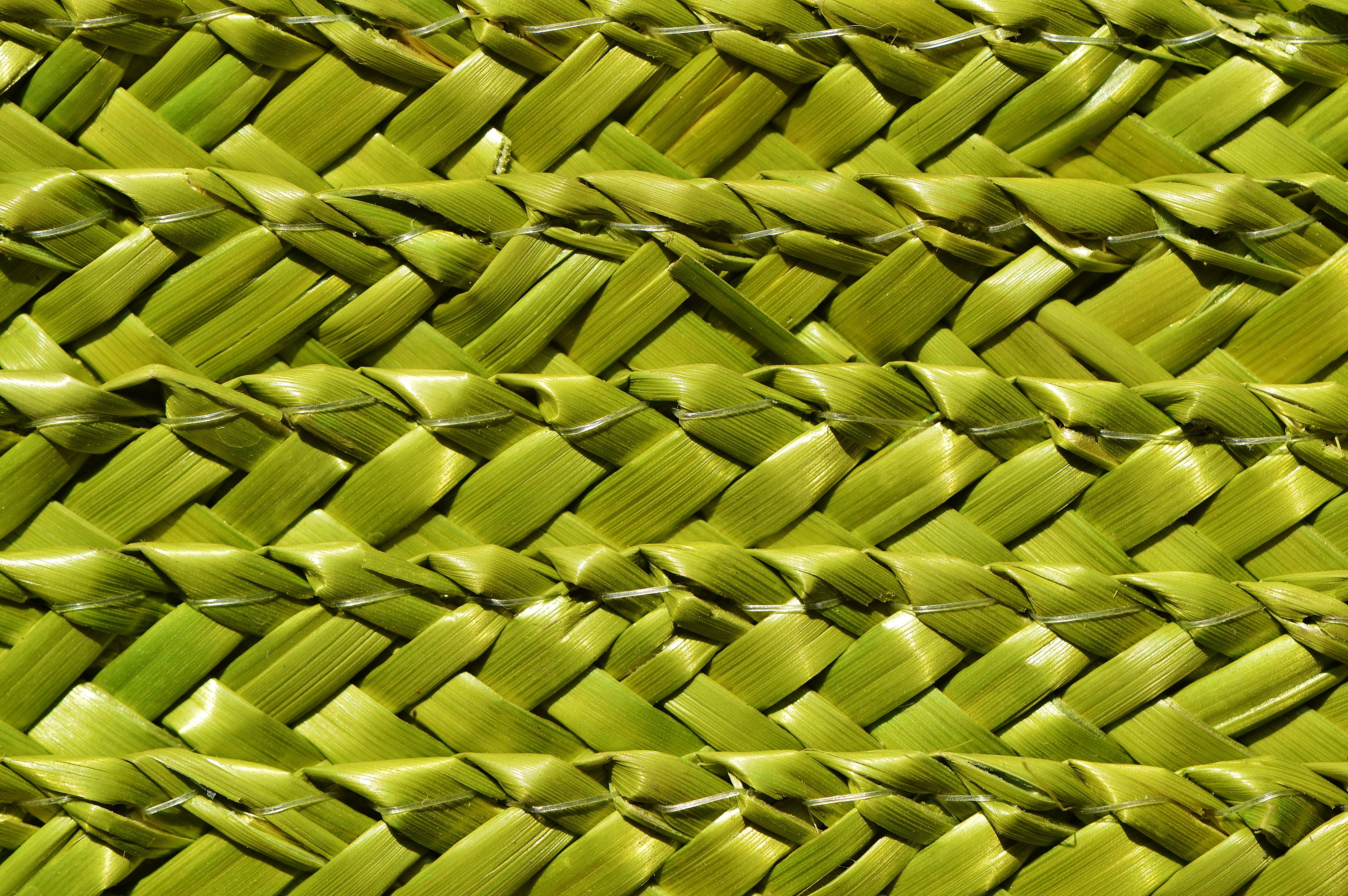 knit, basket, close-up, background, 5K, pattern, textured, still life, no people, indoors, green, abundance, shape, backgrounds, full frame, light green, HD Wallpaper