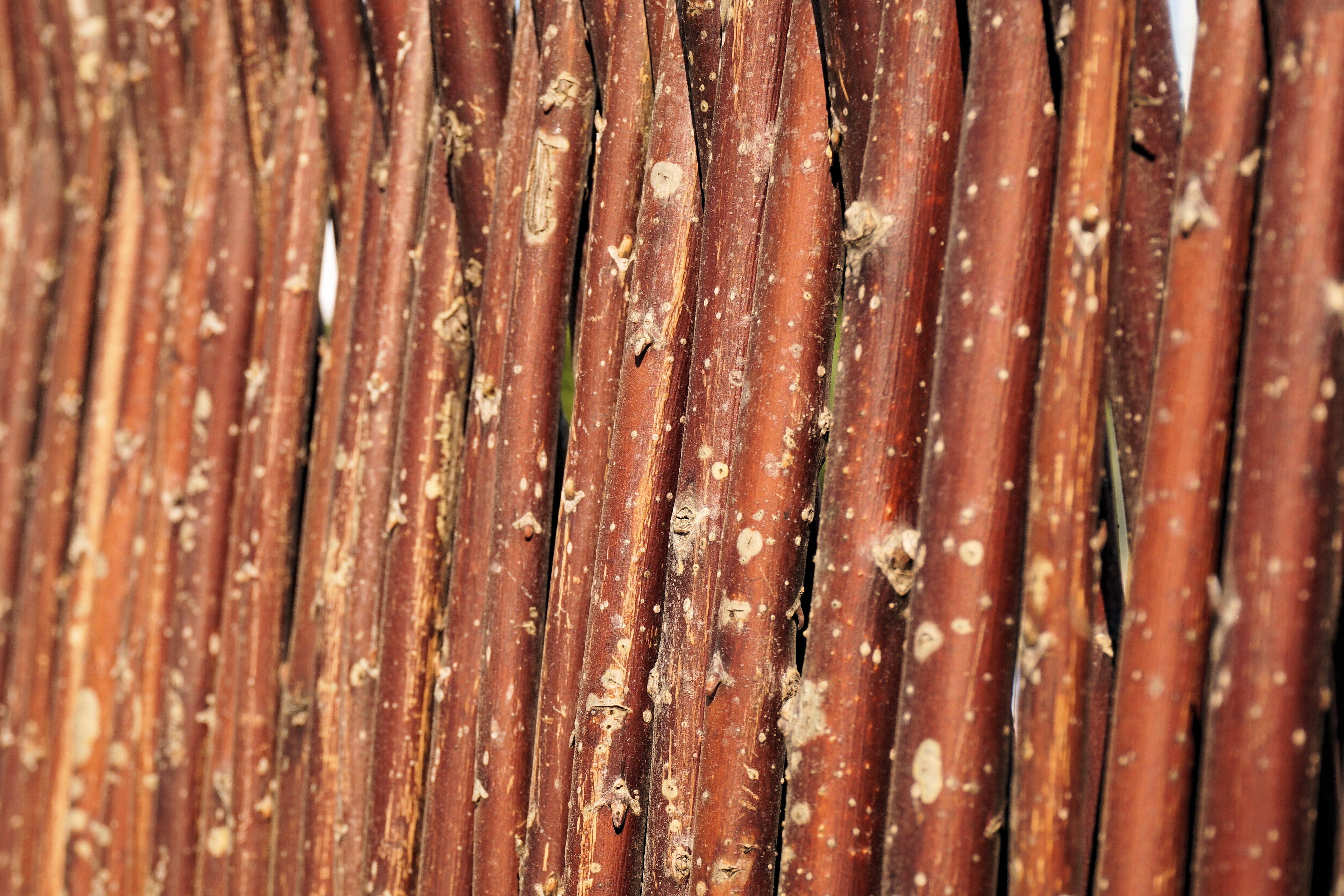 braid, woven, texture, wall, full frame, structure, temptation, ratttan, hand labor, no people, chinese food, still life, close-up, 4K, natural material, HD Wallpaper