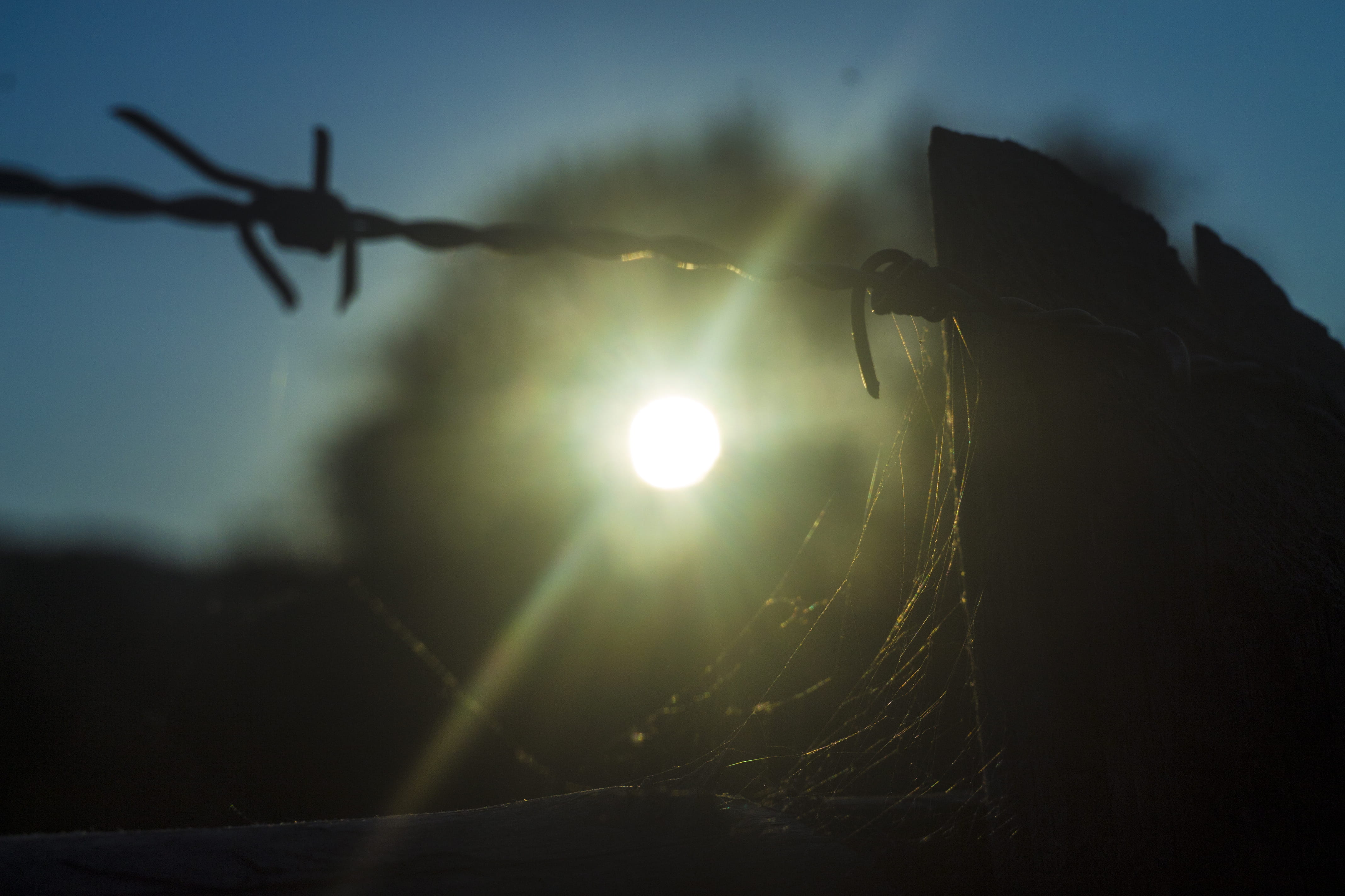 nowosiółki dydyńskie, spiders web, boundary, sky, tranquility, no people, light, bright, sunbeam, safety, lens flare, beauty in nature, 4K, security, silhouette, HD Wallpaper