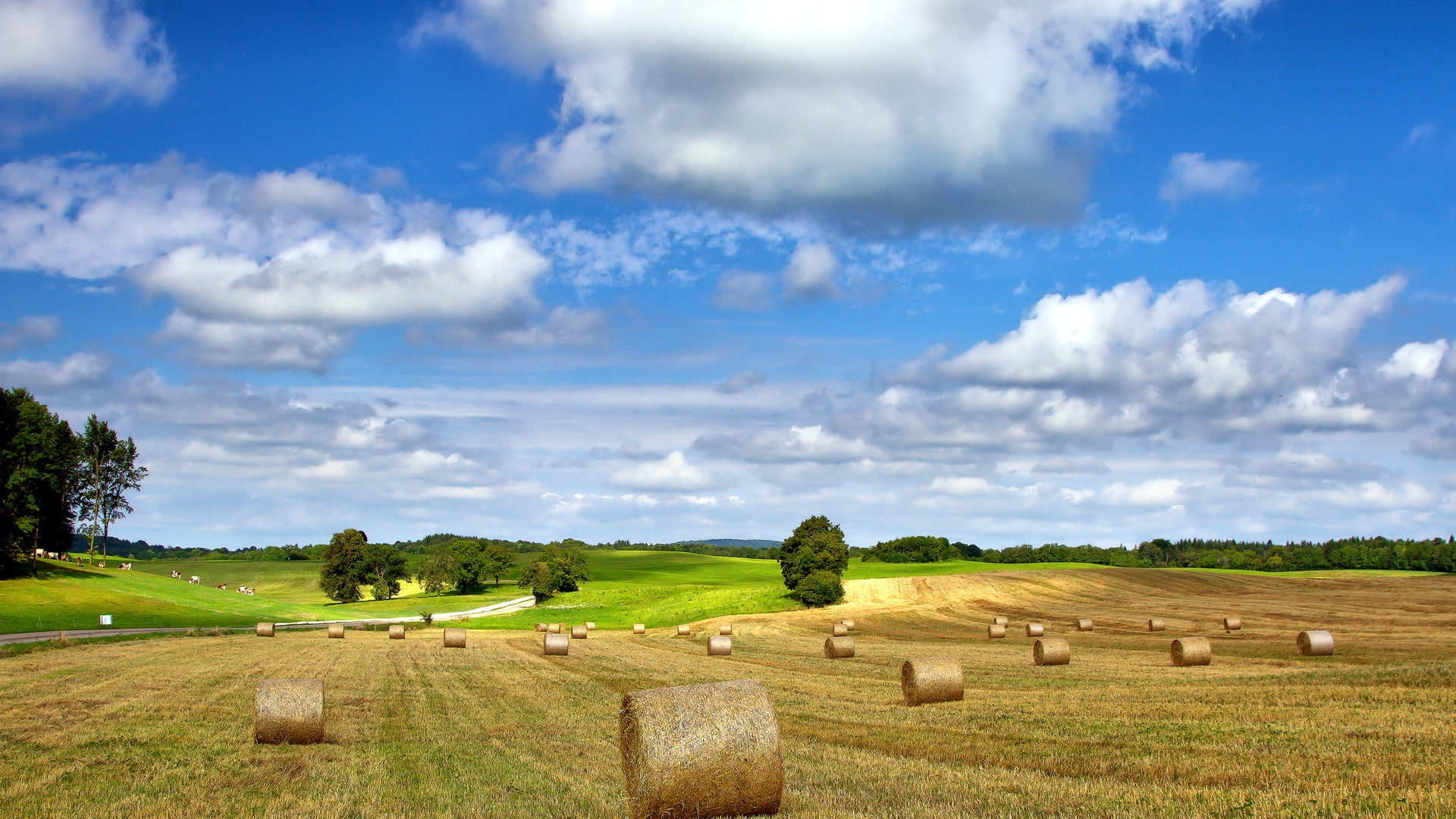 Sky, Field, Nature, Cloudy, Hay, Farm, 1080P, Landscape, Summer, HD Wallpaper
