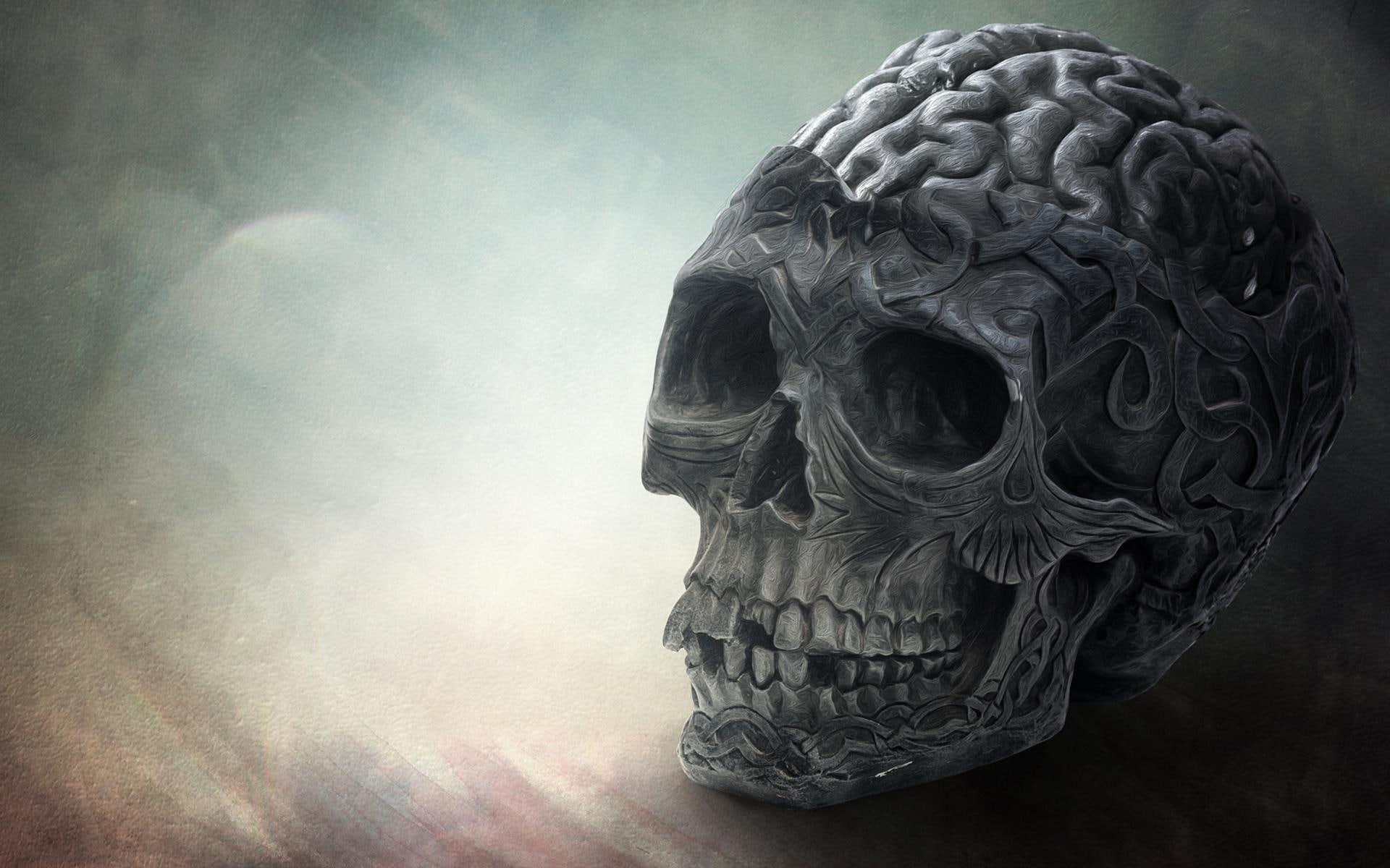 skull, 1080P, brain, HD Wallpaper
