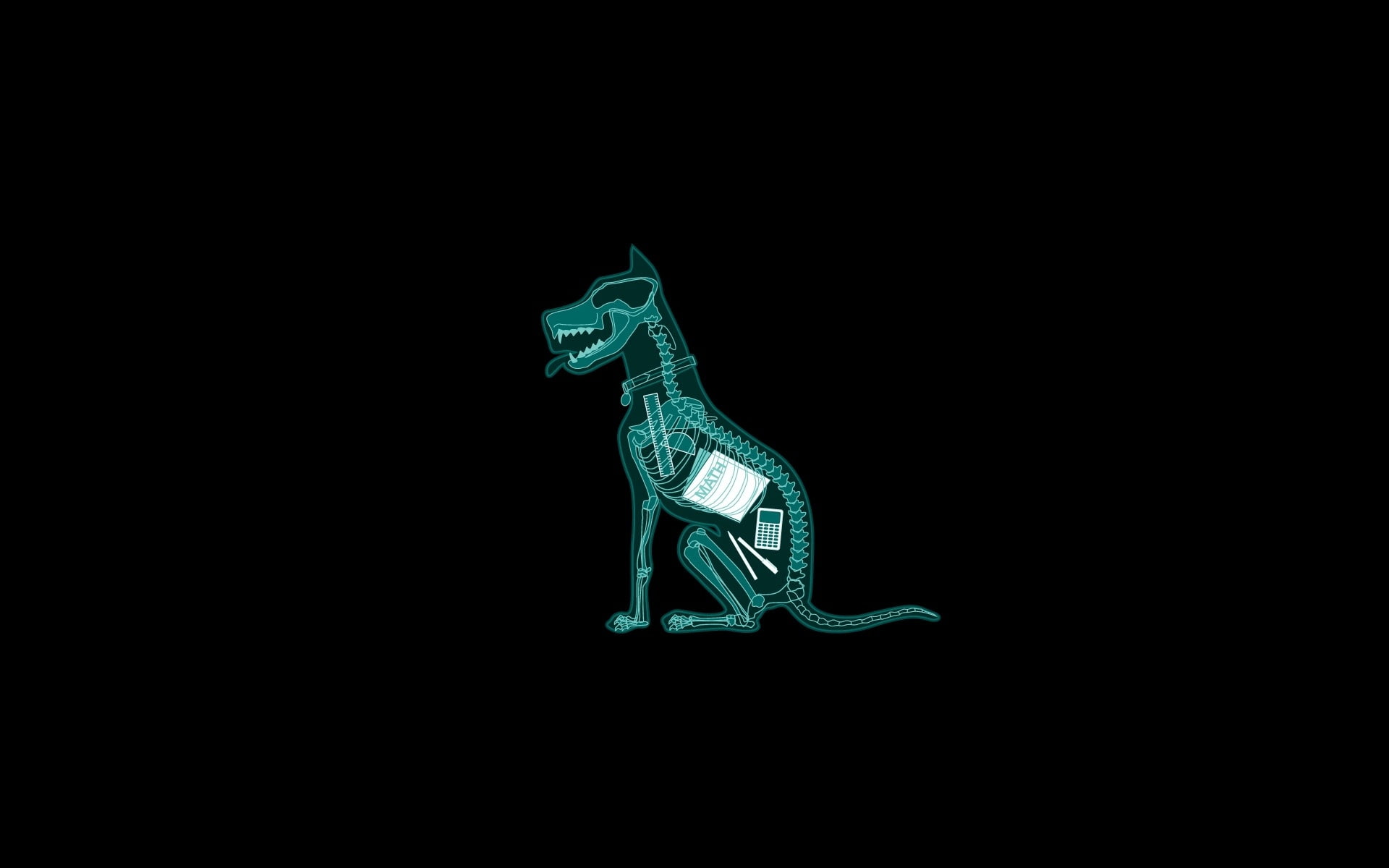 anatomy, mathematics, minimalistic, hd, art, xray, funny, black, humor, 1080P, animals, dark, simple, background, dogs, HD Wallpaper