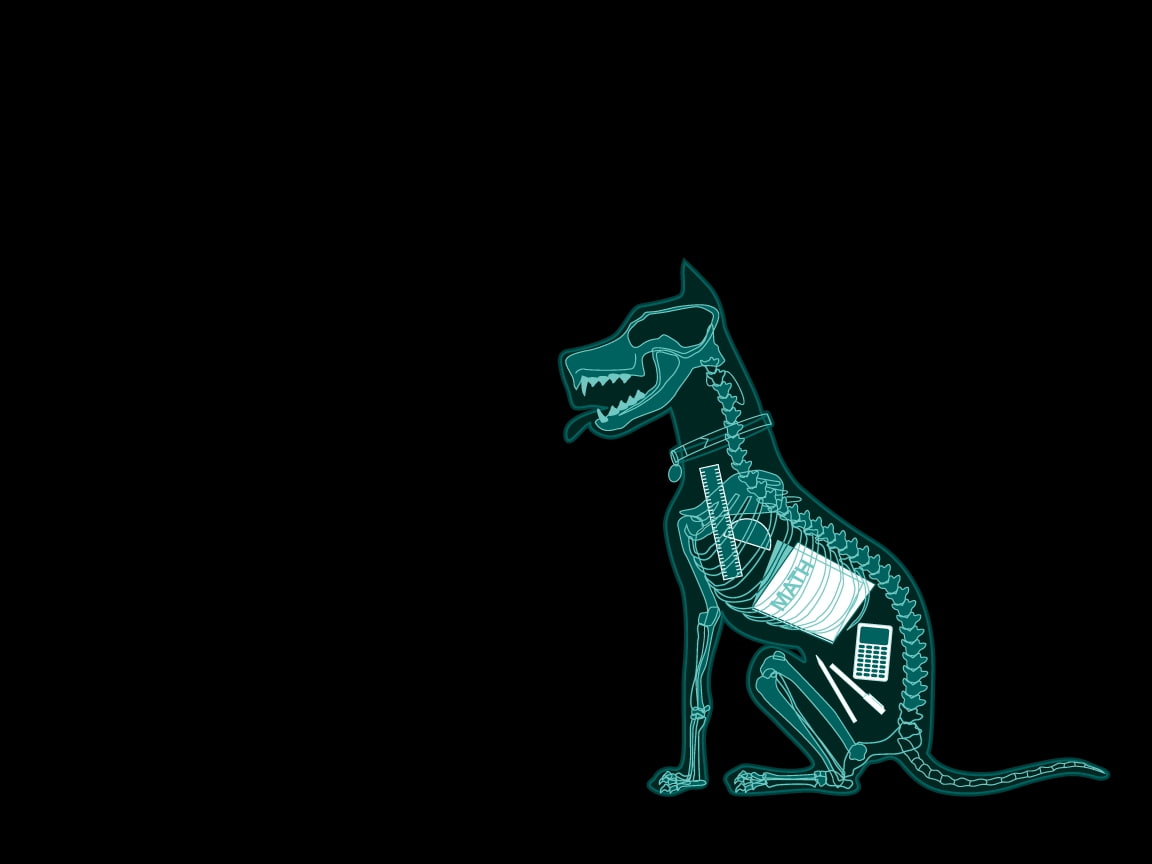 art, x, animals, x-ray, 480P, dogs, xray, hd, HD Wallpaper