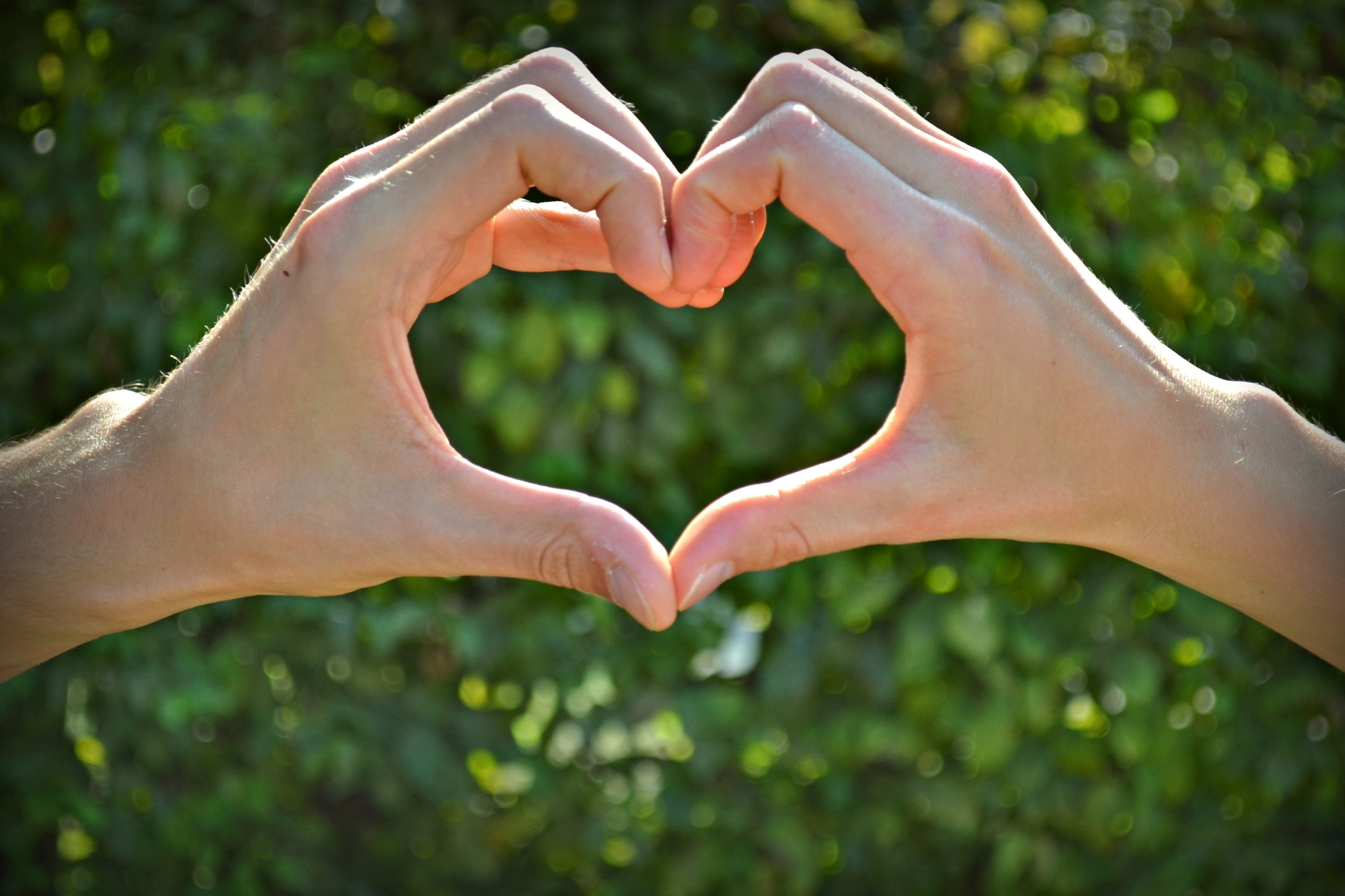 adult, human finger, togetherness, finger, human body part, human limb, s, forming, real people, body part, the heart of, luck, nature, romance, heart Shape, HD Wallpaper