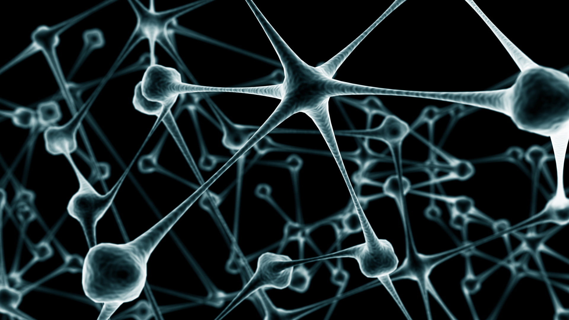 brain, 4k pics, 1080P, Cool, 1920x1080, HD Wallpaper