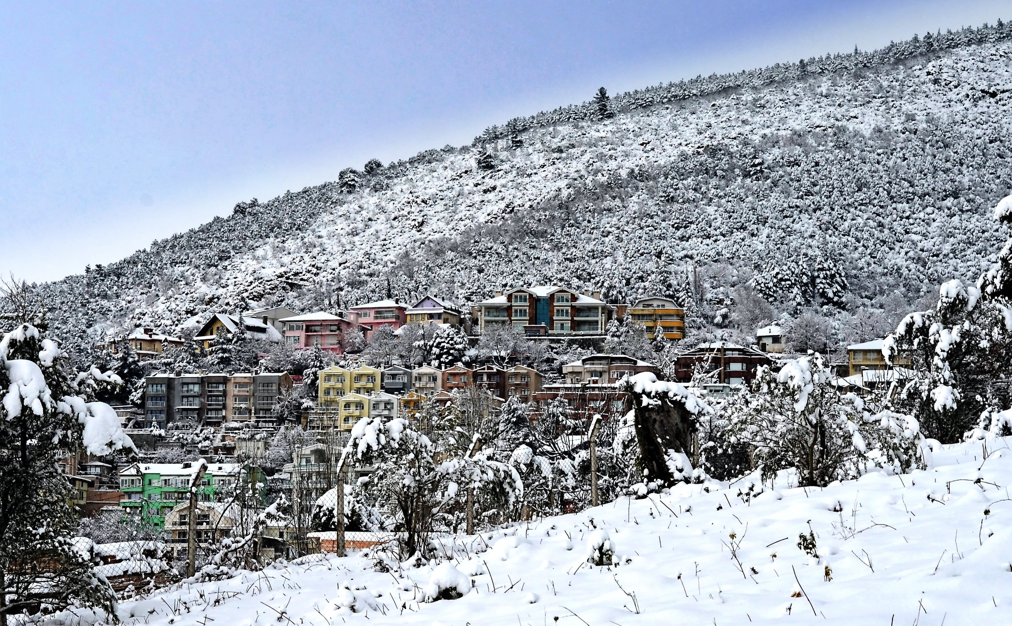 cold temperature, plant, land, kiis, snowy, blue, snow, building, architecture, nature, mountain, beauty in nature, no people, scholarship, 2K, built structure, HD Wallpaper