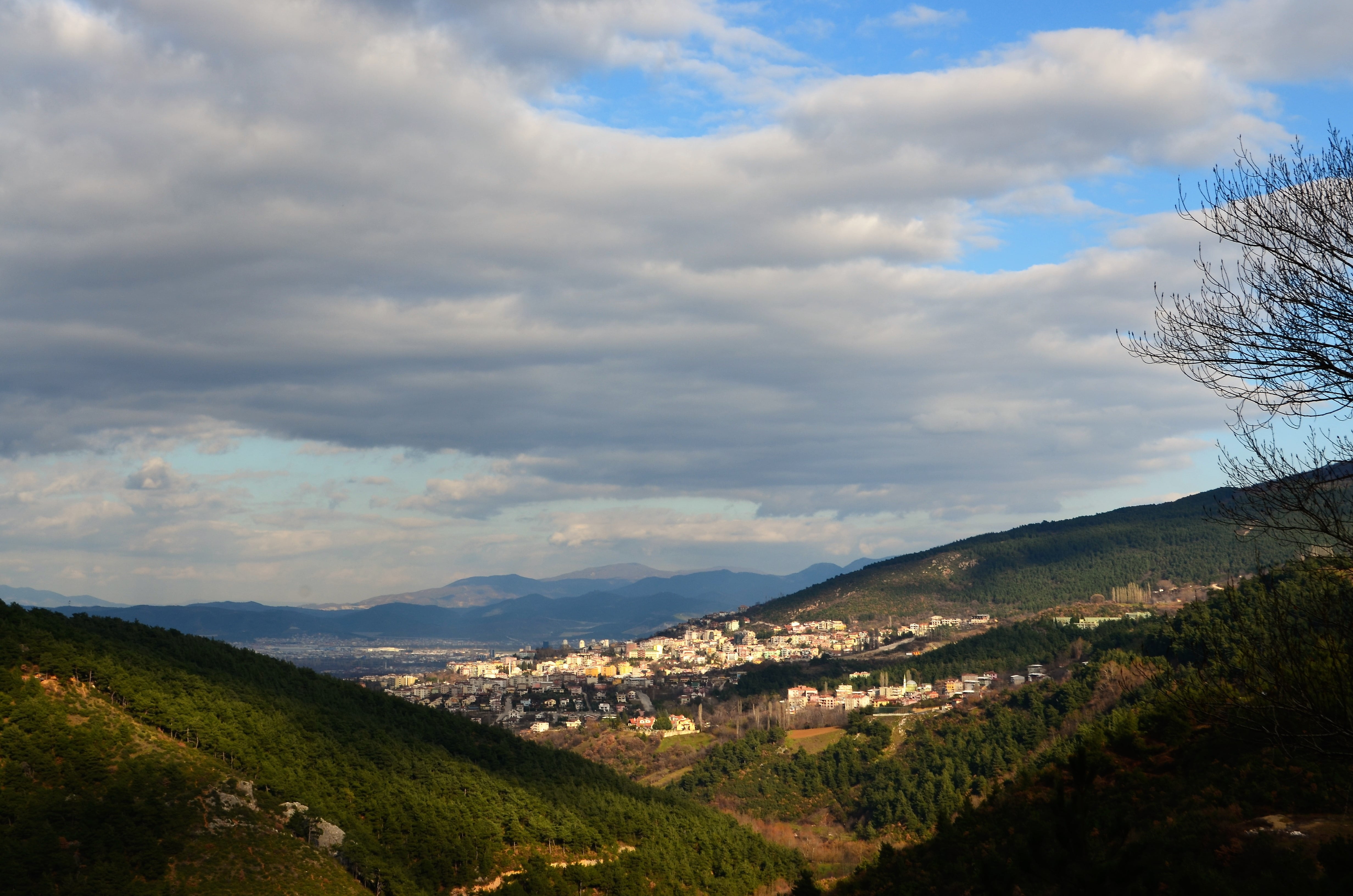 trees, sky, color, vivid color, plant, tranquil scene, season, botanical, 4K, townscape, forest, doburca, the leaves are, cloud - sky, turkey, mountain, HD Wallpaper