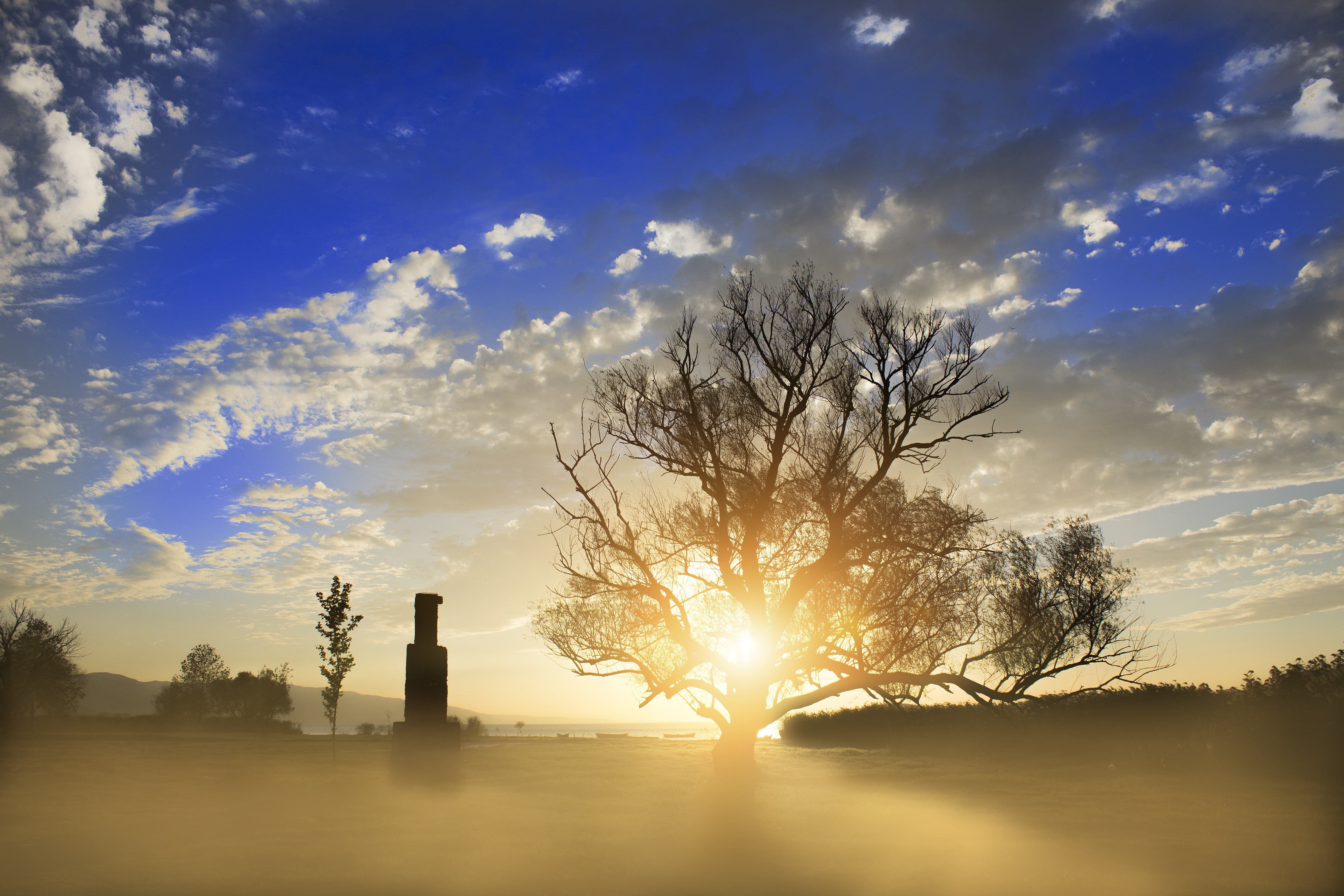 scenics - nature, tranquility, sunrise, sky, tree, beauty in nature, yellow, non-urban scene, fog, warm colors, bare tree, cloud - sky, land, landscape, HD Wallpaper