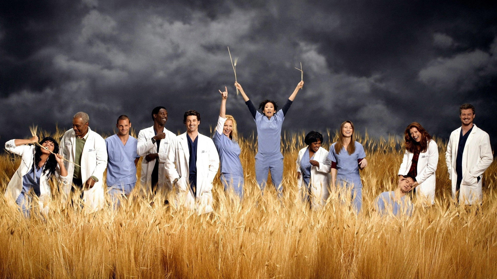 joy, Kate Walsh, Sara Ramirez, 1080P, Isaiah Washington, Patrick Dempsey, actors, Chandra Wilson, Katherine Heigl, Ellen Pompeo, T.R. Knight, Eric Dane, HD Wallpaper