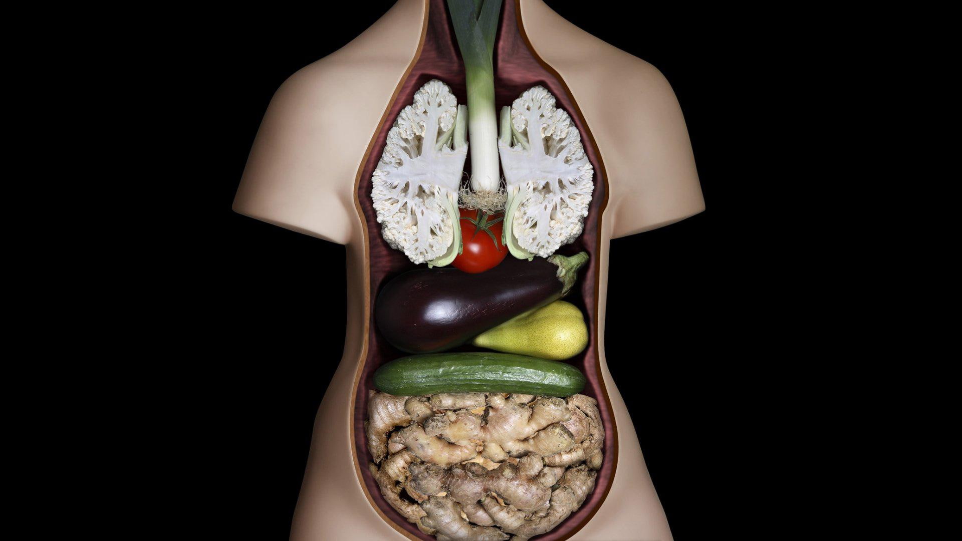 vegetables, food, 1080P, desktop, anatomy, HD Wallpaper