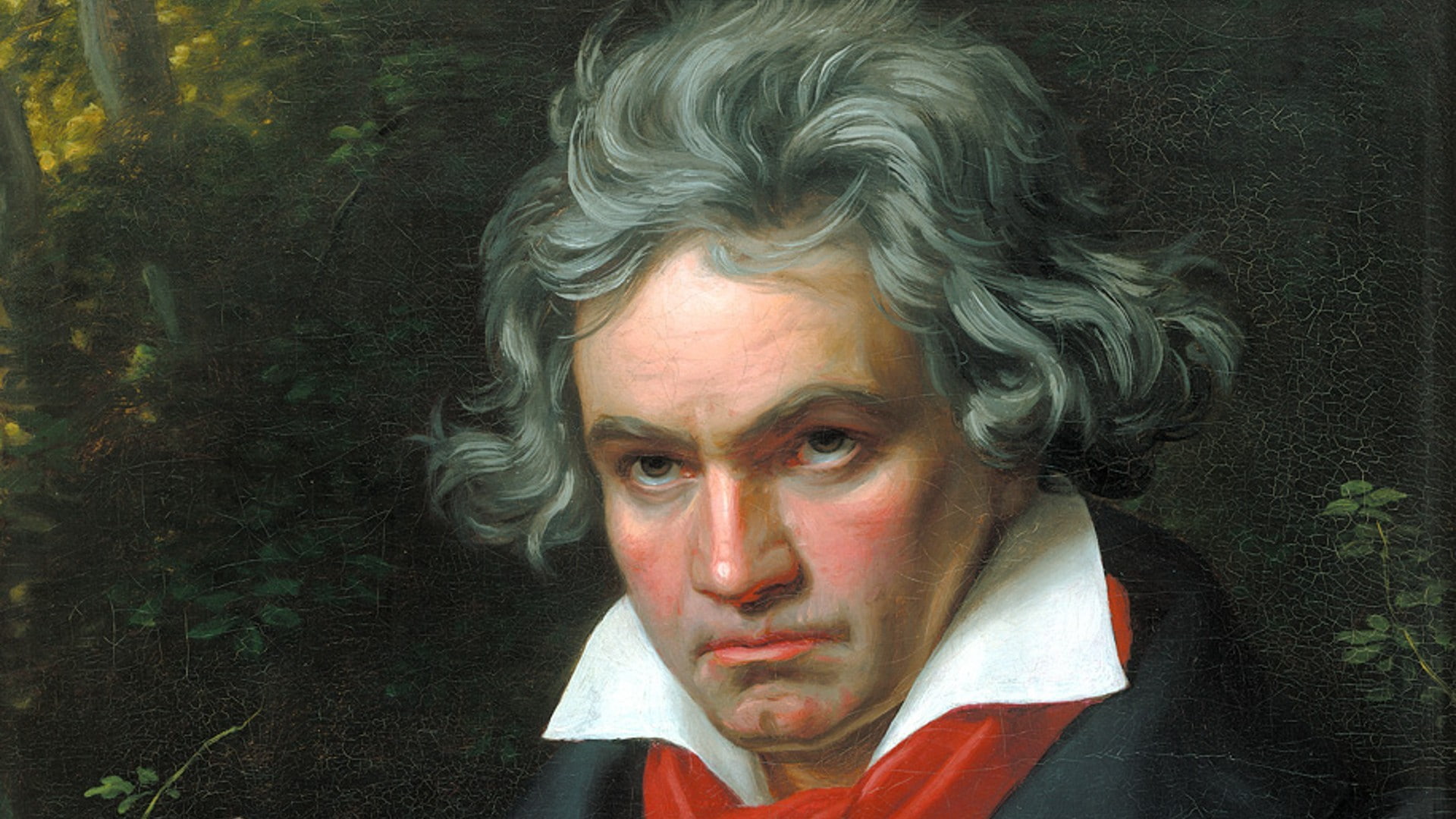 Ludwig van Beethoven, 1080P, musician, portrait, composer, HD Wallpaper