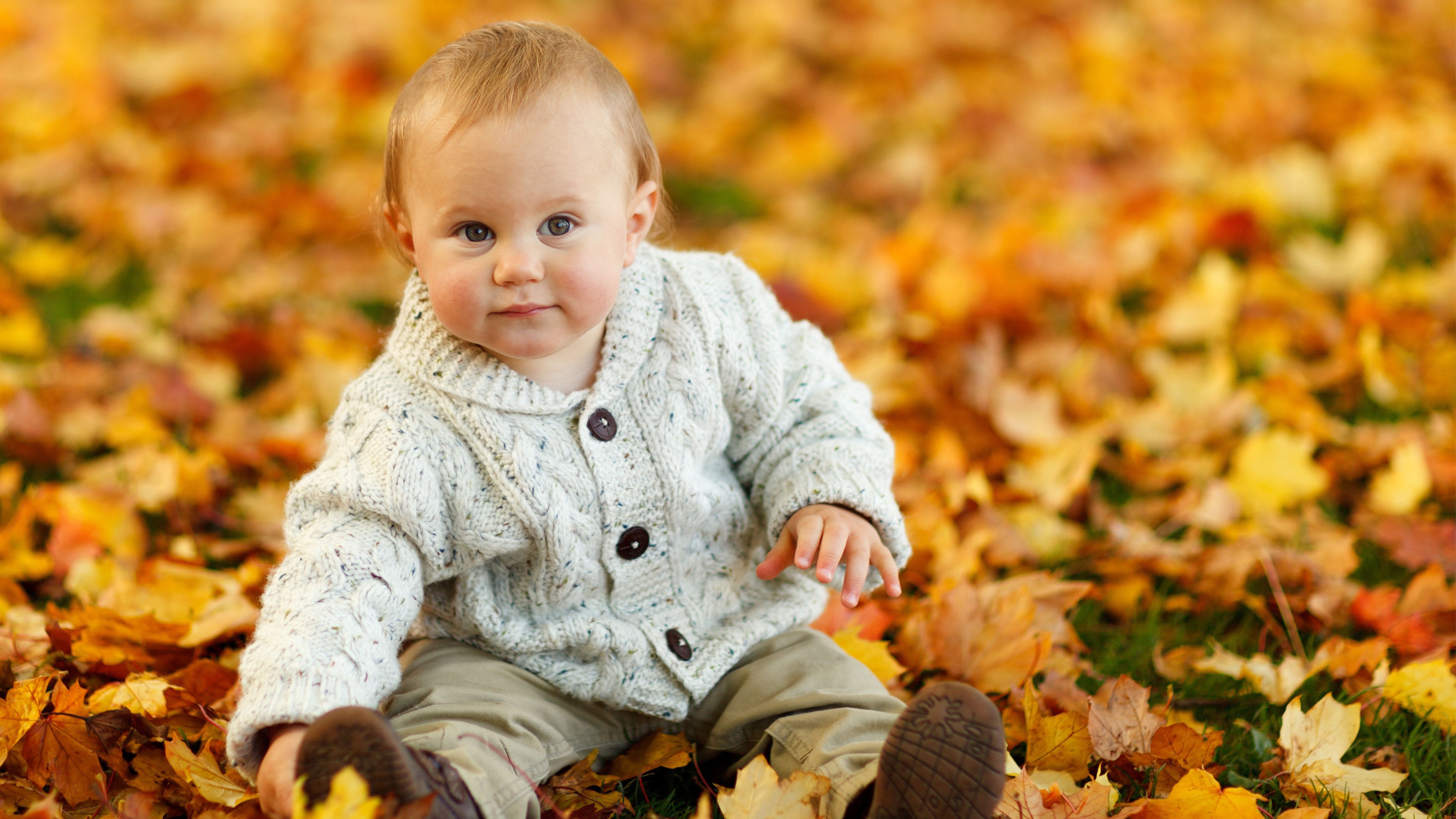 change, blond hair, sitting, cute, happy, looking at camera, children, youth, sweet, joy, male, child, little, adorable, one, smiling, 4K, nature, autumn, HD Wallpaper