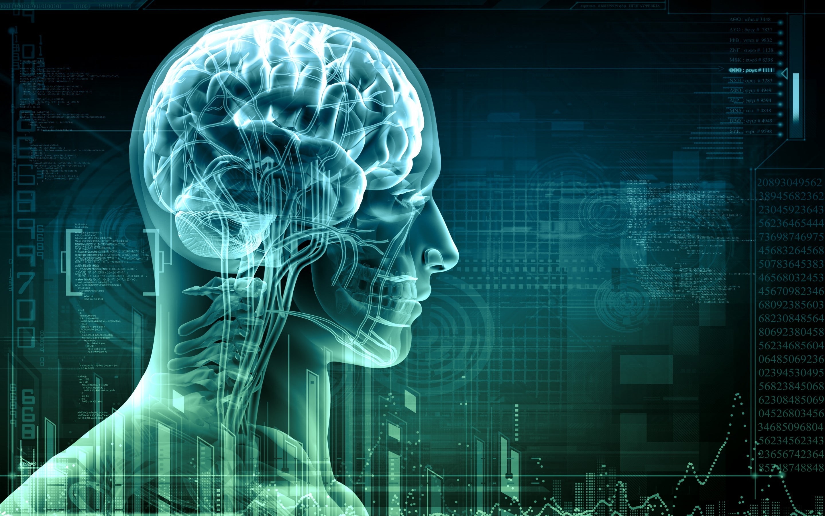 face, programming, Binary, Anatomy, skull, Programming Language, digital art, Spine, Grid, teeth, X rays, bones, 2K, circle, Veins, skeleton, computer, HD Wallpaper