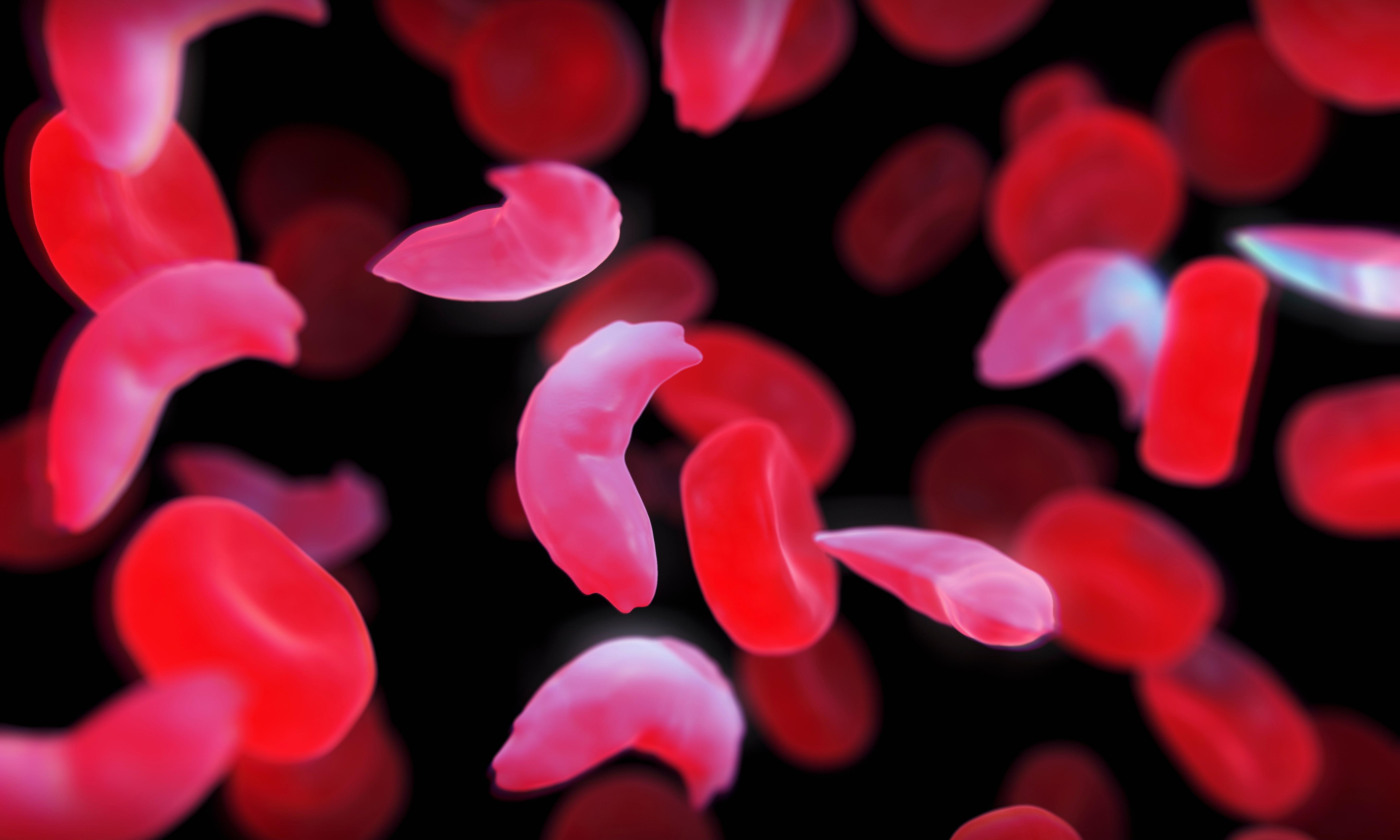 4K, Blood cells, 5K, HD Wallpaper