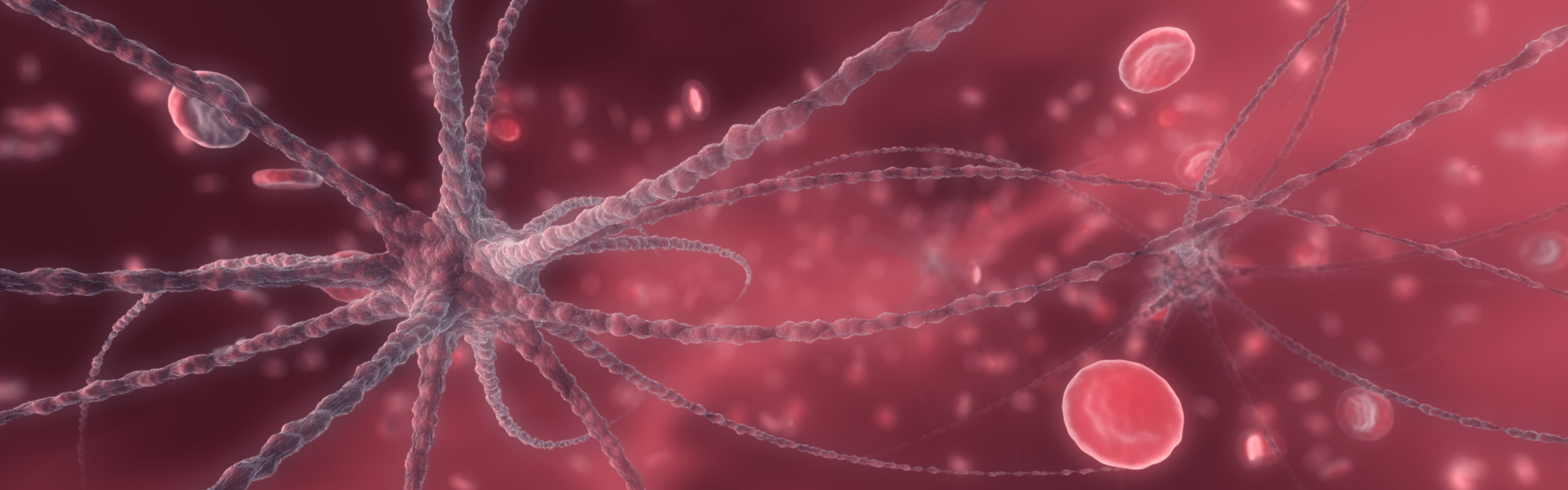no people, red, pattern, material, abstract, full frame, cells, studio shot, biology, digitalrendering, selective focus, nature, healthcare and medicine, HD Wallpaper