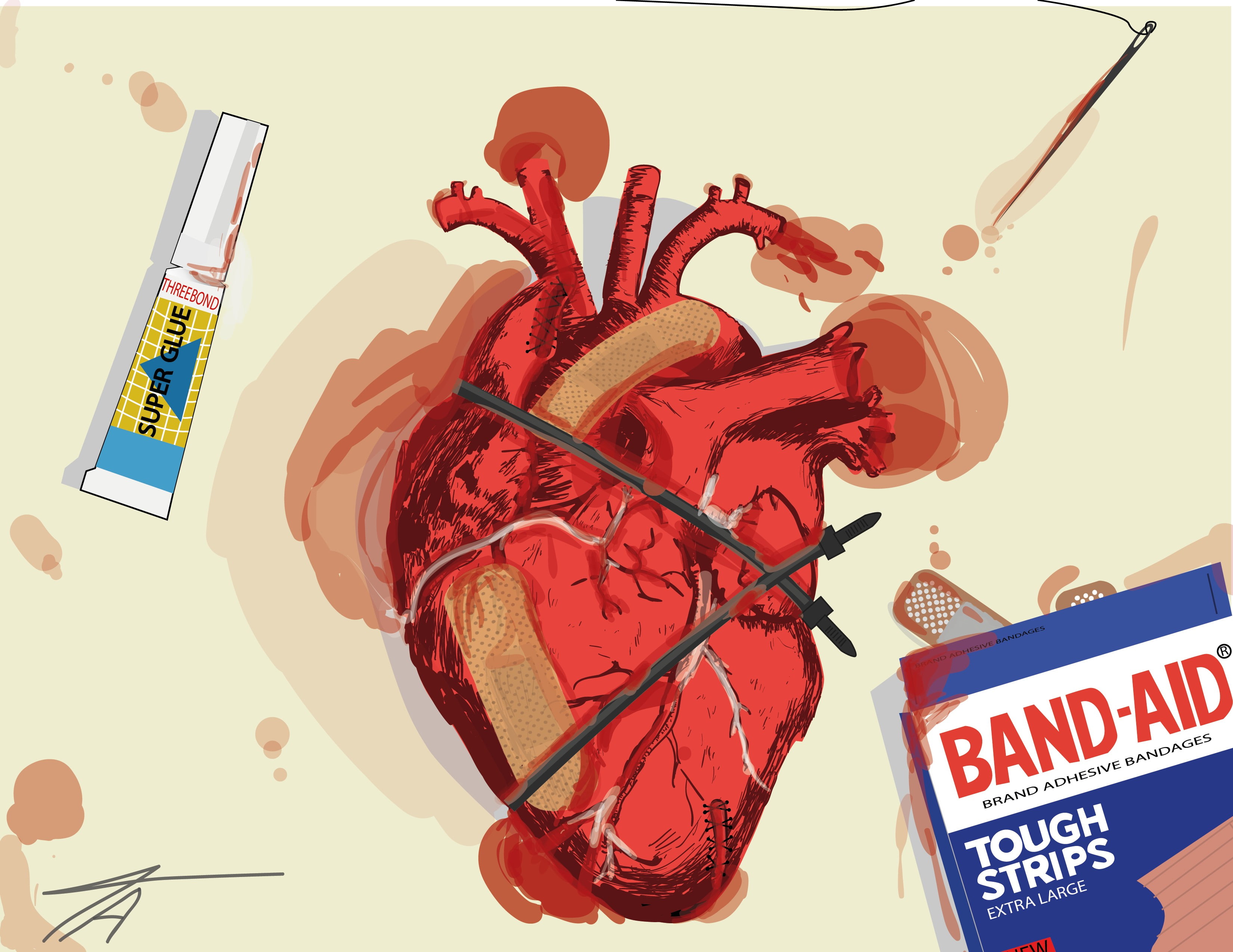 Hearts, Anatomy, 2K, HD Wallpaper