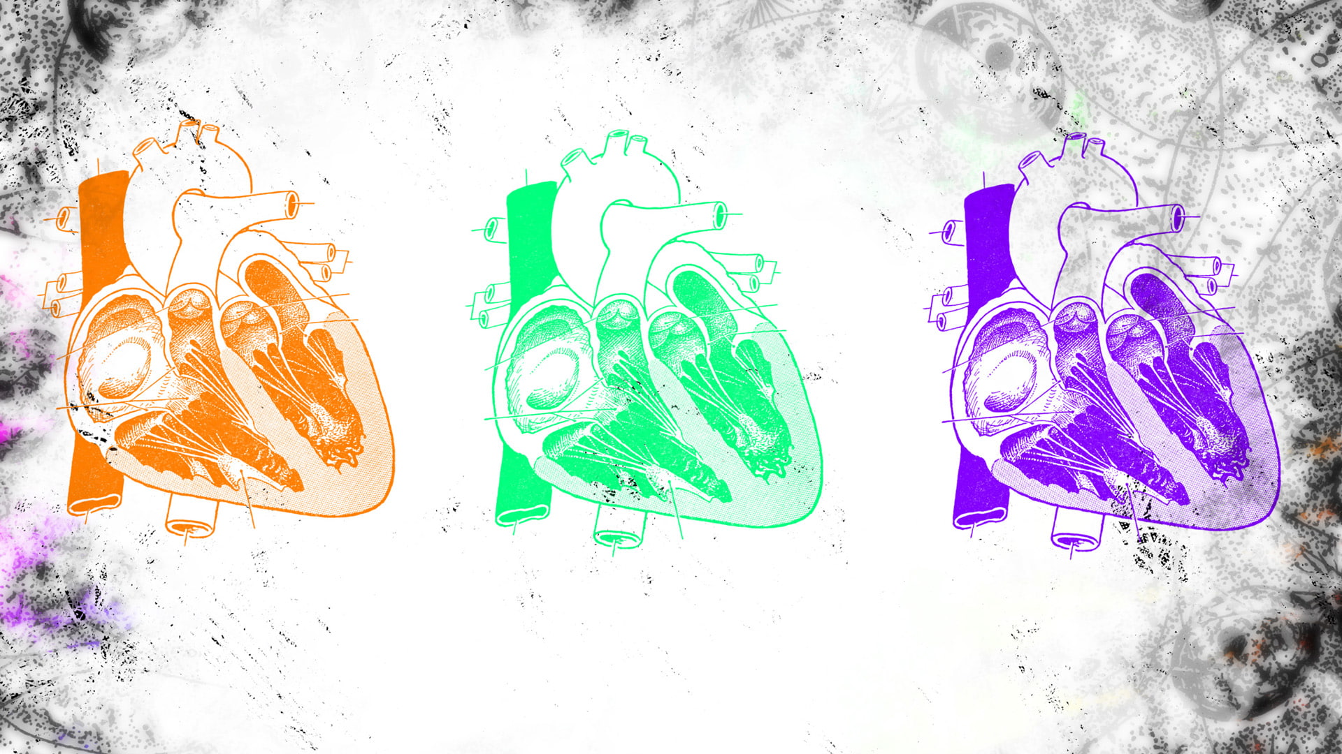 Anatomy, Hearts, 1080P, HD Wallpaper