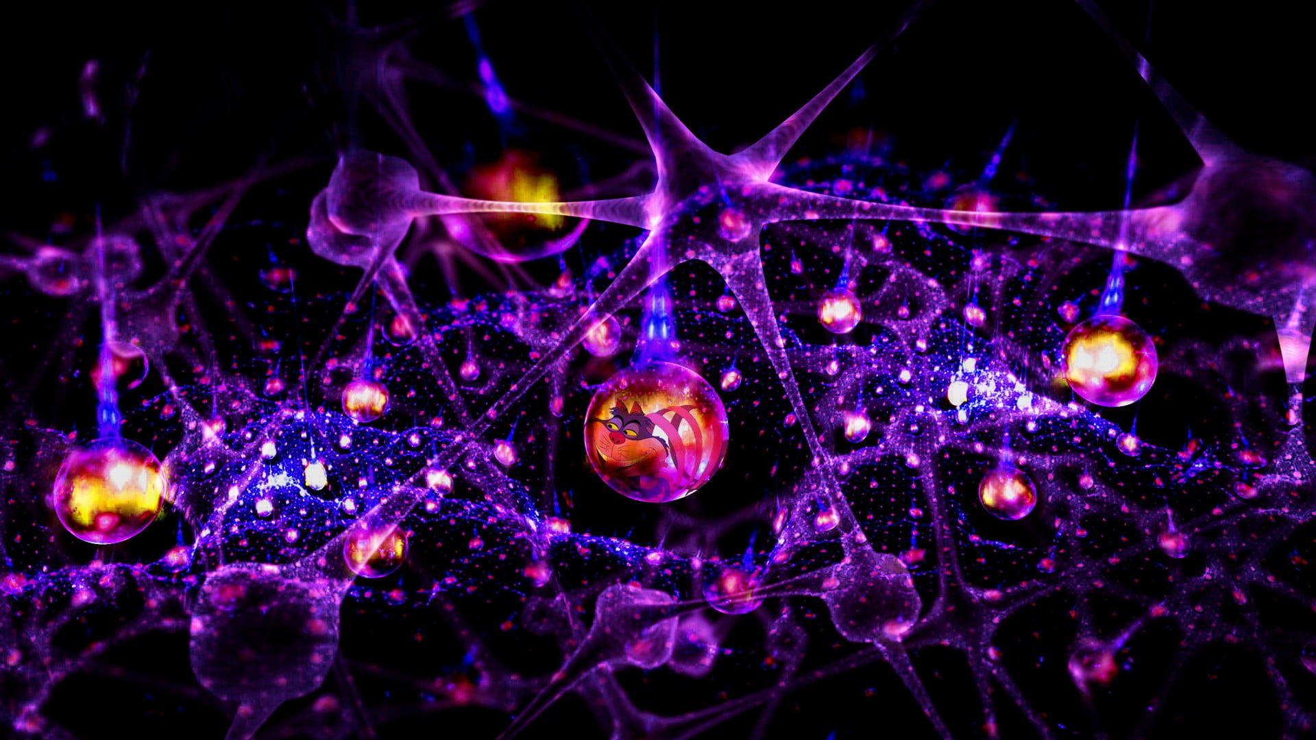 illustration, nature, night, outdoors, orange, purple, no people, close-up, digital art, selective focus, shapes, animals in the wild, sea, invertebrate, HD Wallpaper
