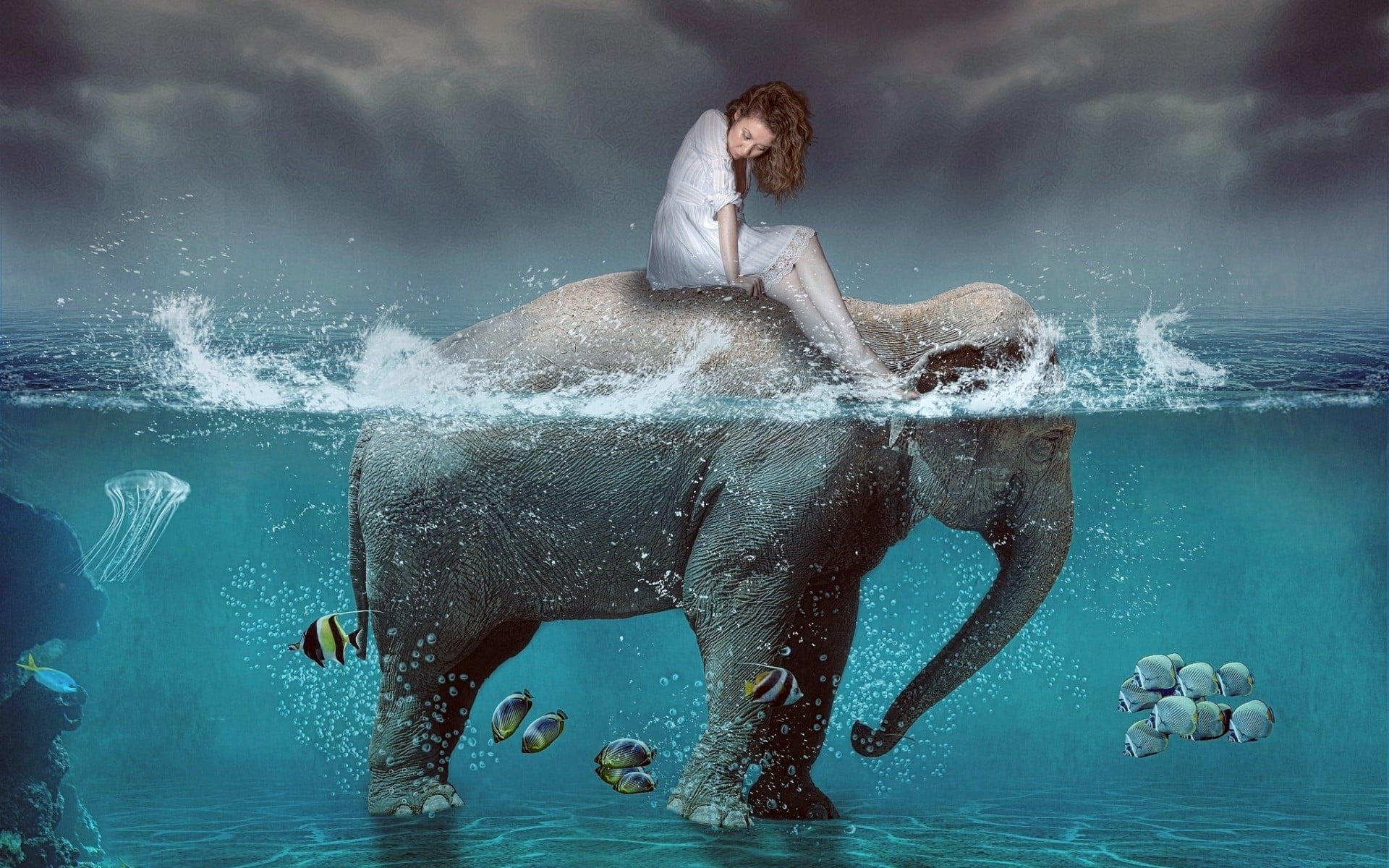 splashing, emotion, split view, full length, motion, adult, fish, young adult, beauty, water, swimming pool, sport, digital composite, people, digital art, HD Wallpaper