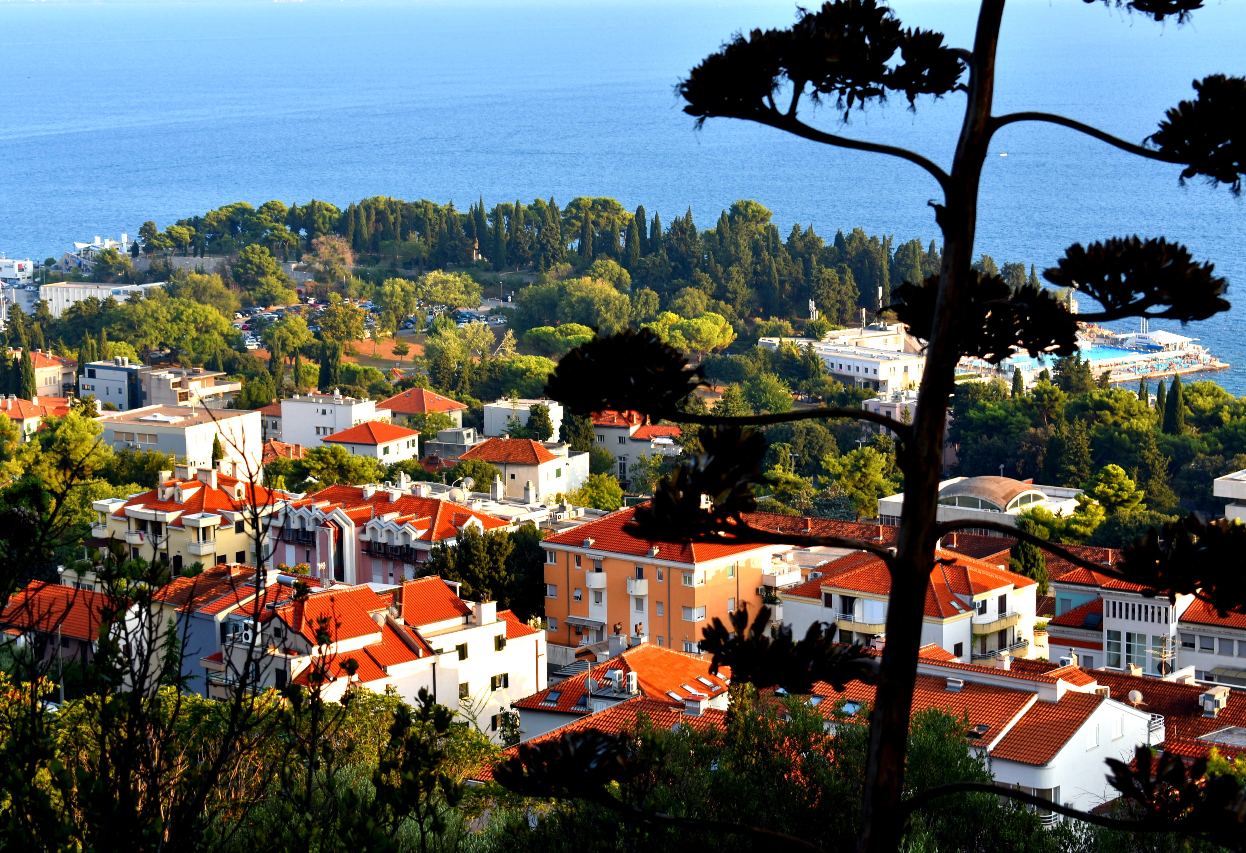 built structure, villa, roof, vacation, nature, house, luxury, city view, high angle view, plant, cityscape, day, sunlight, dalmatia, holiday, townscape, HD Wallpaper
