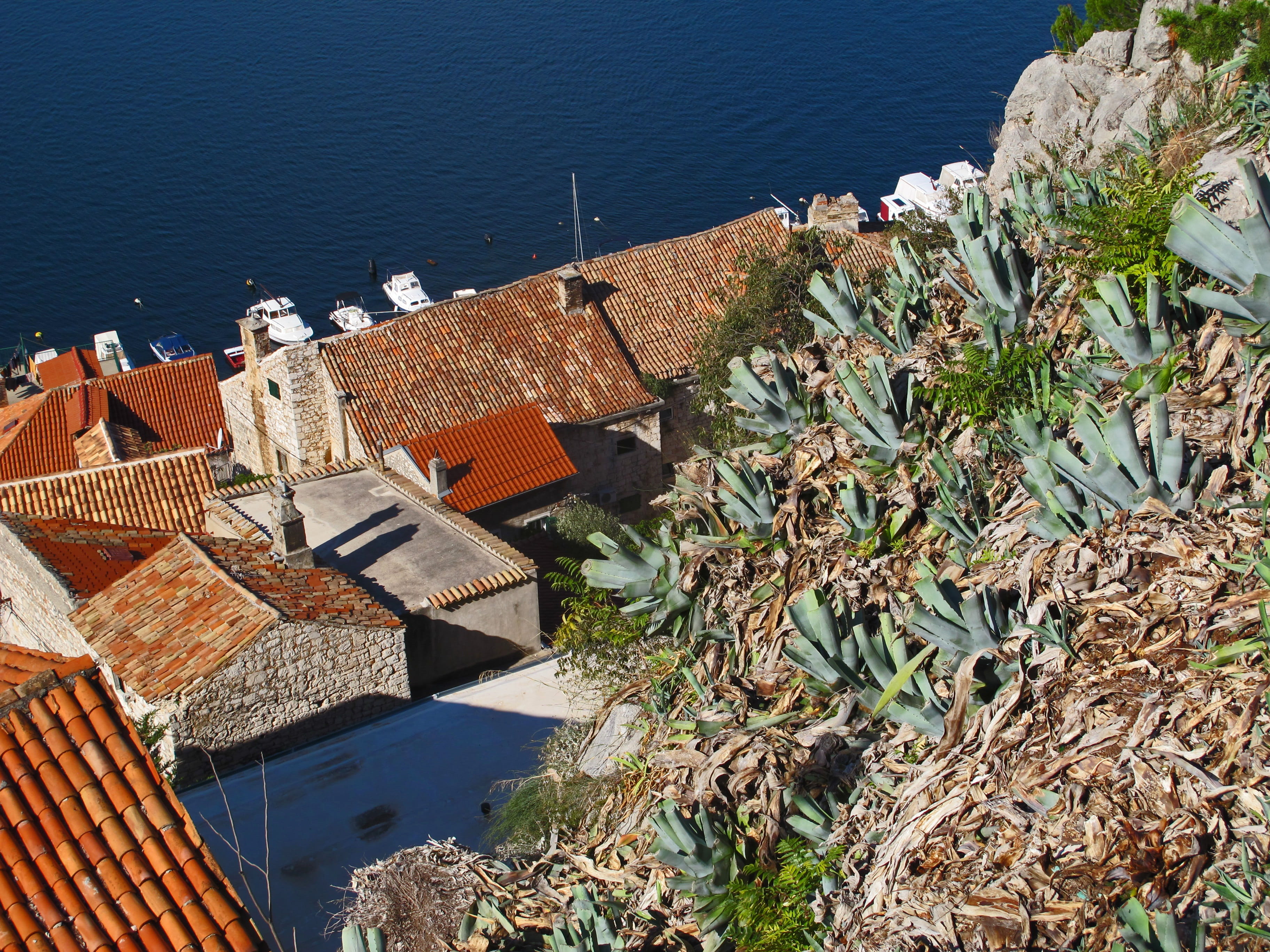 Croatia, water, split, unesco, day, built structure, land, roof, landmark, 2K, house, historic, town, europe, roofs, green, city, sunlight, no people, HD Wallpaper