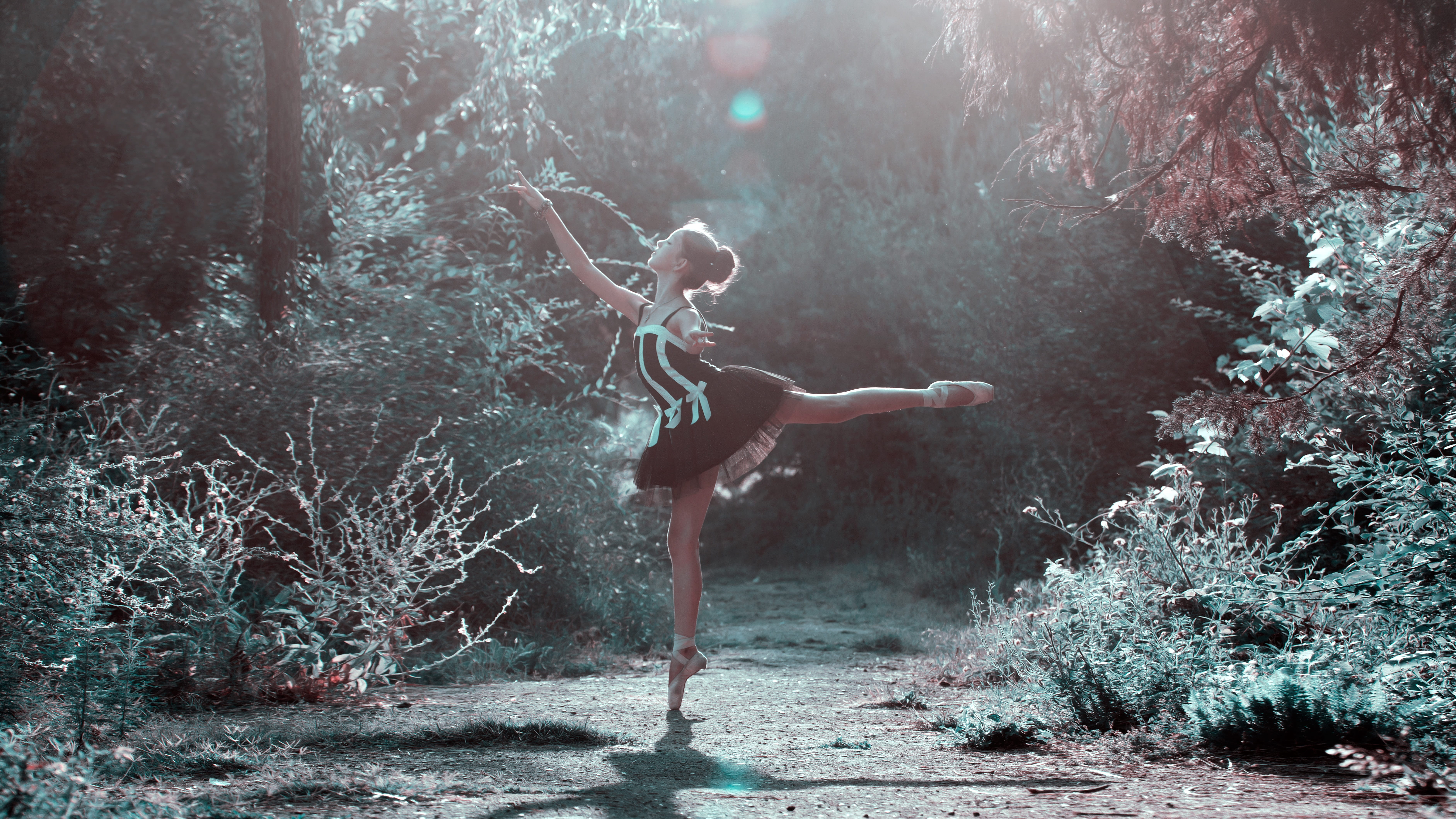 ballet, outdoors, full length, plant, ballet dancer, beautiful, woodland, young adult, teenager, females, pose, dance, real people, standing, day, plants, HD Wallpaper