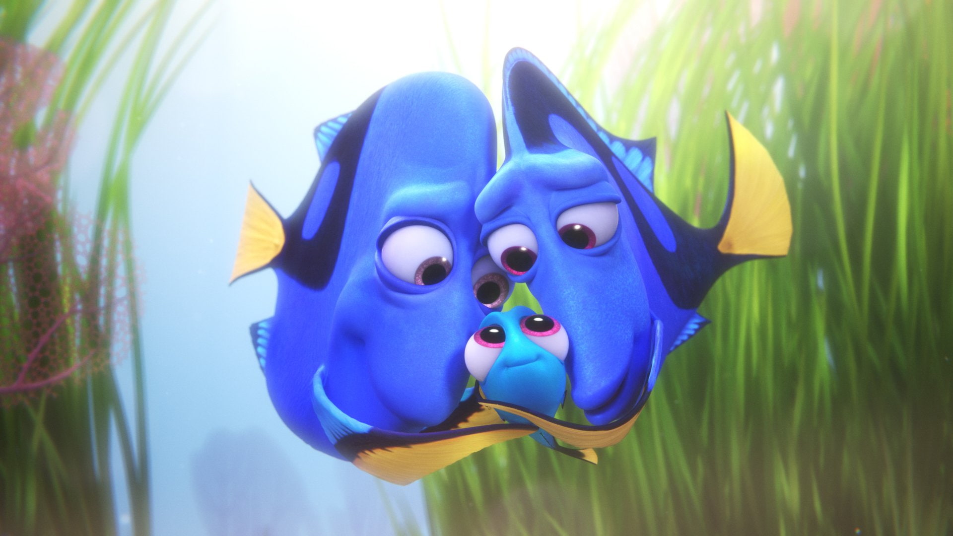 1080P, Finding Dory, vertebrate, blue, toy, fish, animal representation, animal, Dory (Finding Nemo), focus on foreground, close-up, sea, creativity, animal themes, HD Wallpaper
