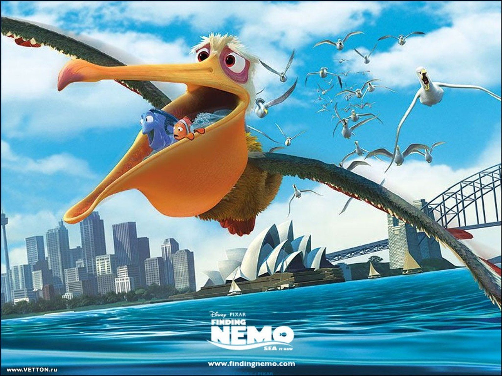 finding, ocean, animation, fish, adventure, sea, drama, comedy, bird, pelican, 720P, family, tropical, underwater, nemo, disney, HD Wallpaper