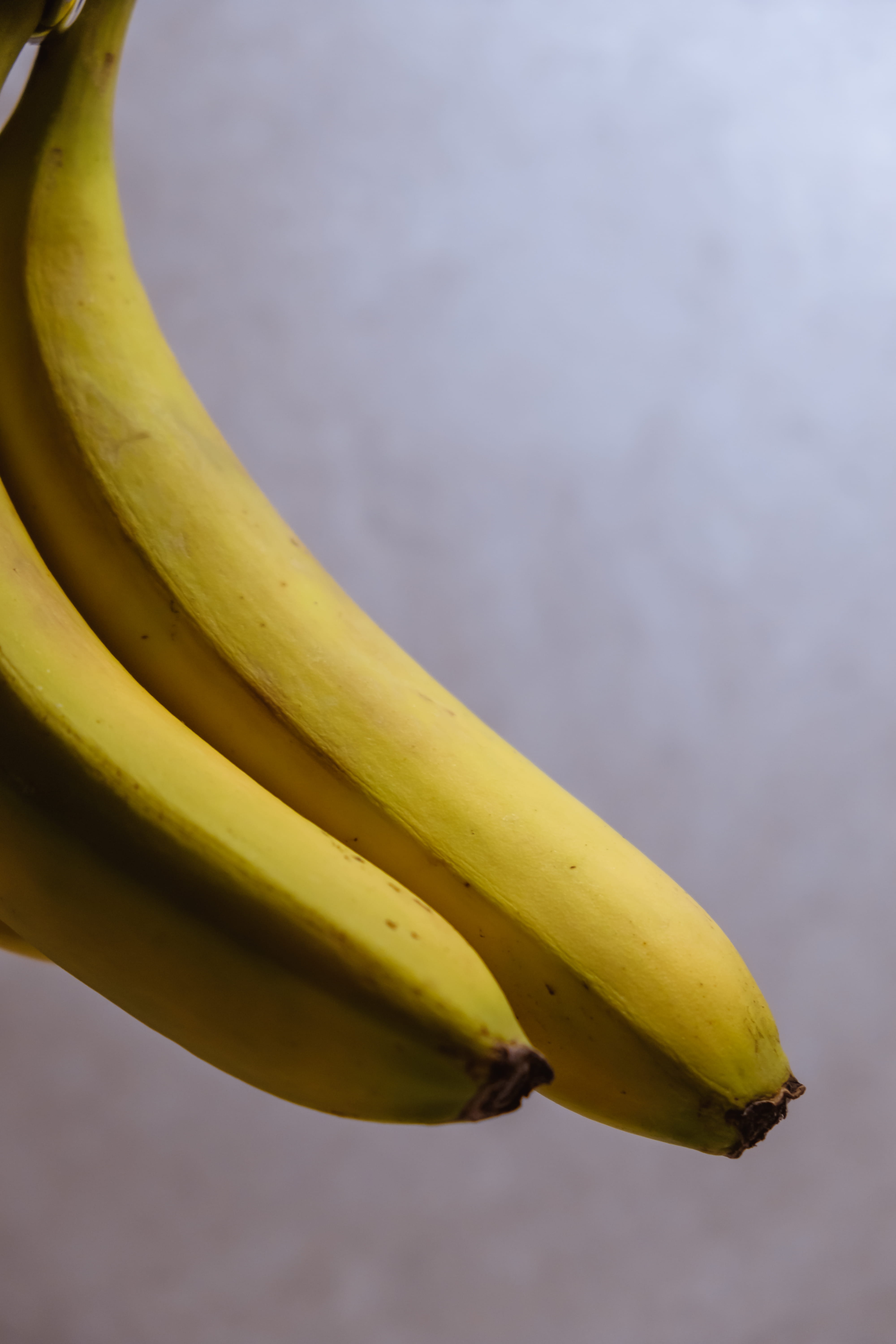 shadow, nature, freshness, food and drink, close-up, contour, still life, food, ripe, texture, contrast, yellow, plant, beauty in nature, selective focus, Phone HD Wallpaper