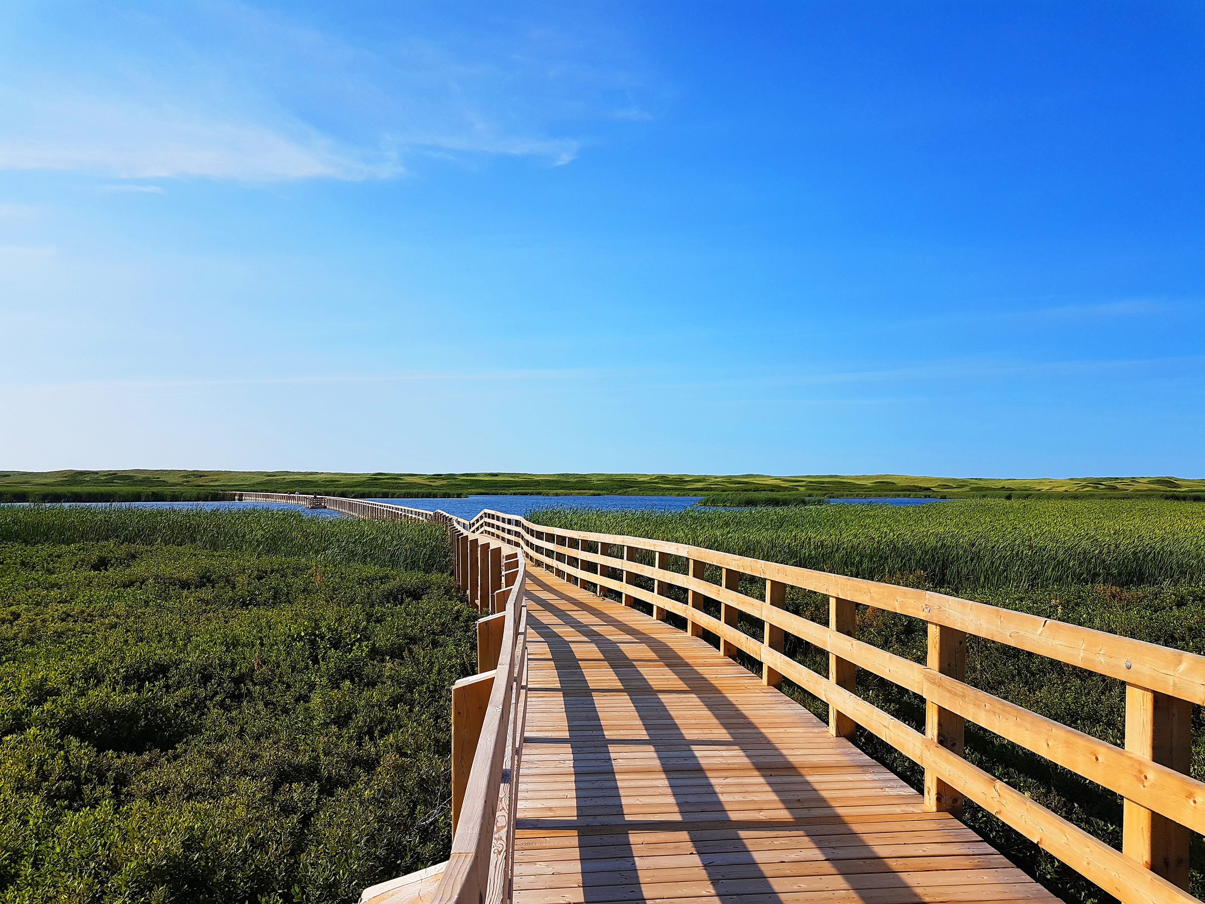 footpath, wood - material, province, sky, railing, scenics - nature, grass, water, outdoors, walking, dock, no people, tranquility, nature, park, lake, HD Wallpaper