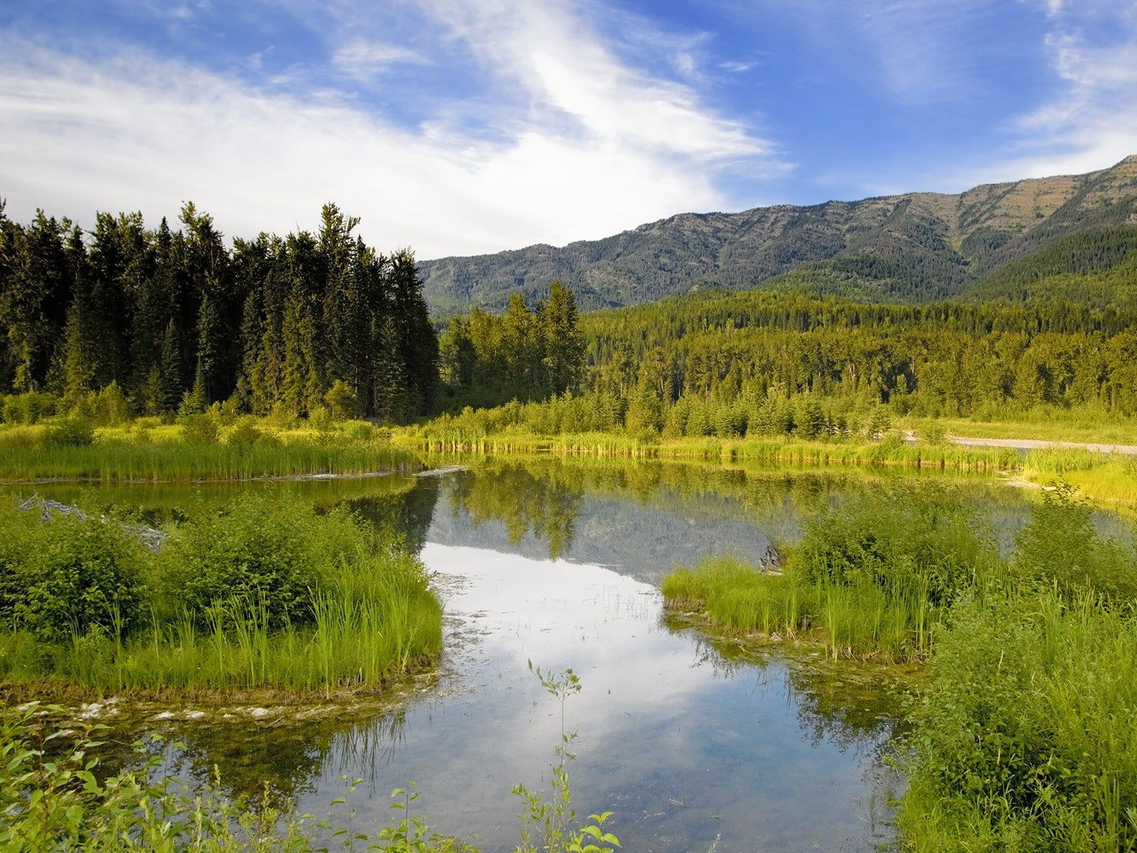 nature, canada, edward, 720P, island, prince, HD Wallpaper
