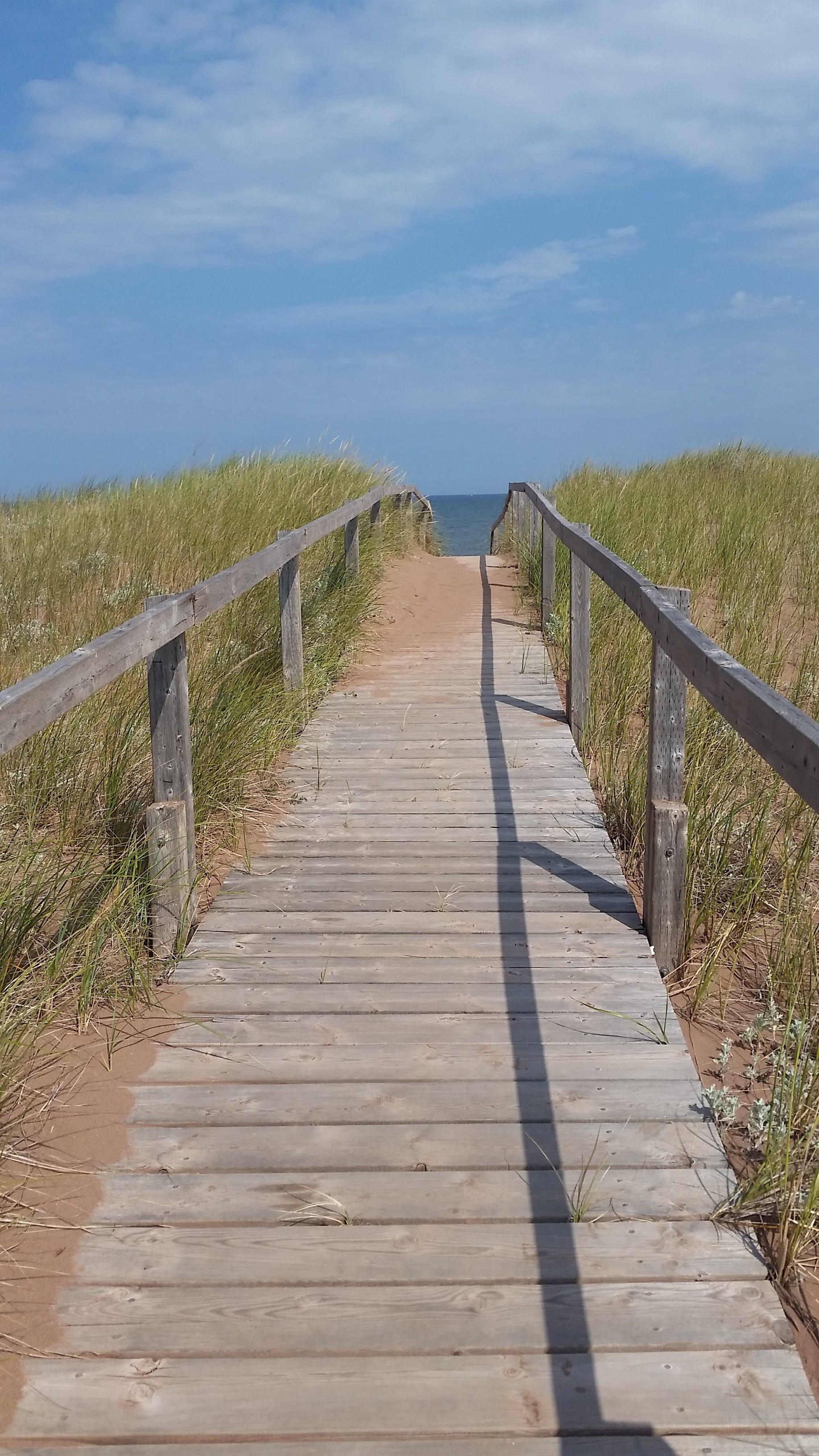 scenics - nature, prince edward island, Walkway, plant, Coastal, wood - material, pei, cloud - sky, long, wood, sunlight, wood paneling, the way forward, Phone HD Wallpaper