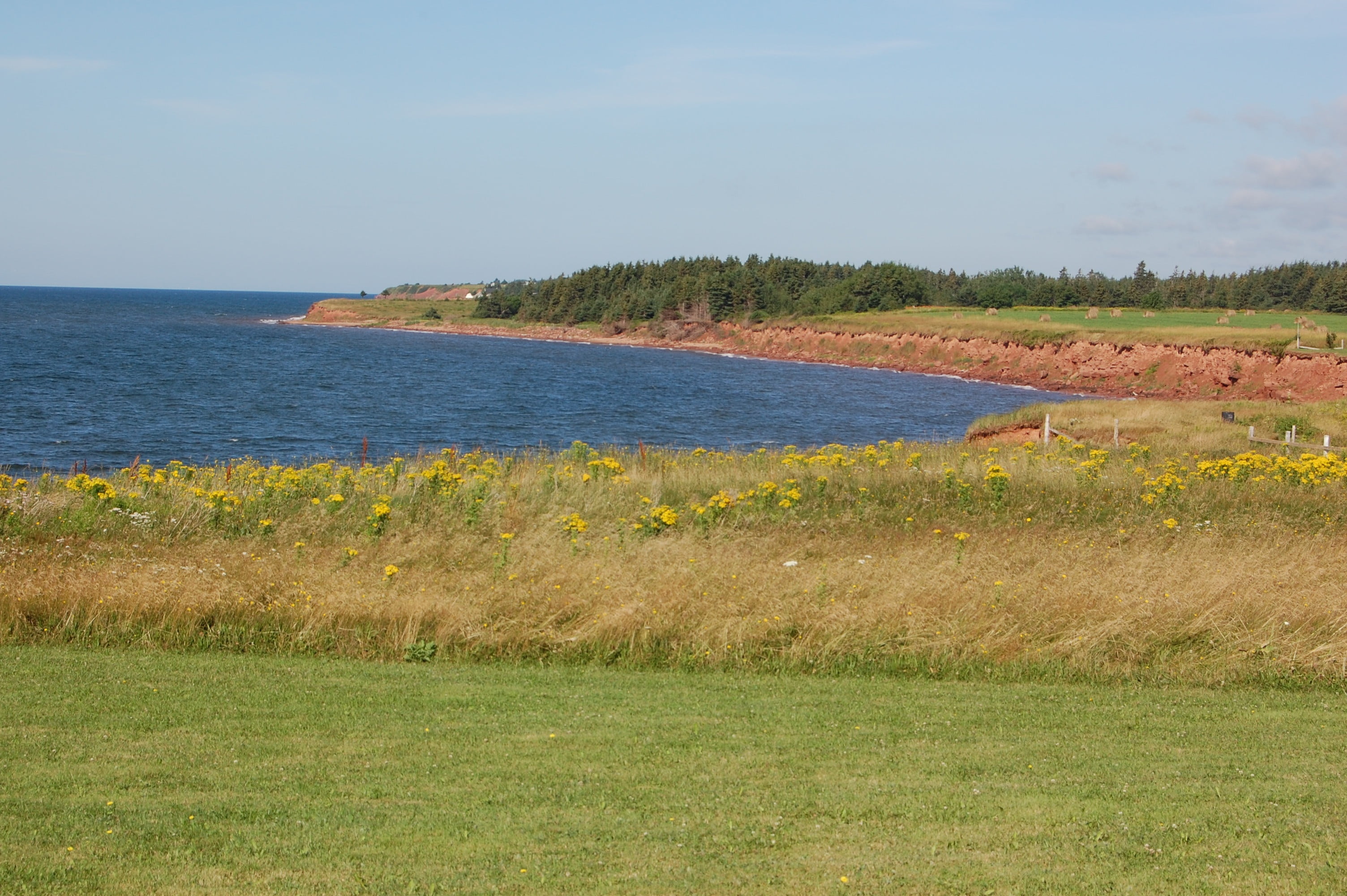 2K, no people, outdoors, tranquility, beauty in nature, sea, canada, coastline, nature, day, grass, sky, landscape, water, tree, plant, scenics - nature, HD Wallpaper
