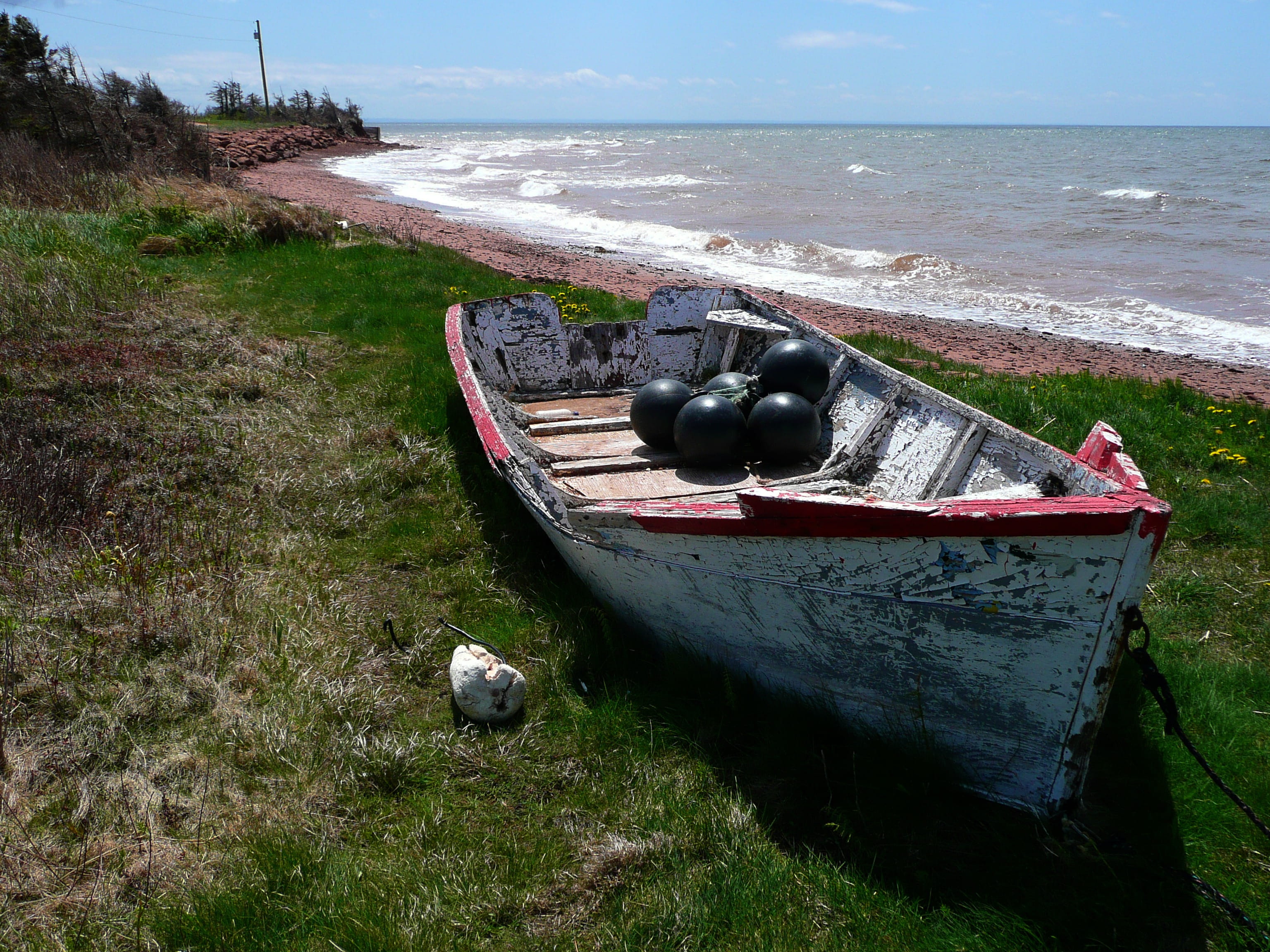 sky, land, day, canada, sea, grass, moored, animal themes, one animal, water, Old, no people, Fishing Boat, horizon, landscape, old fishing boat, 2K, beauty in nature, HD Wallpaper