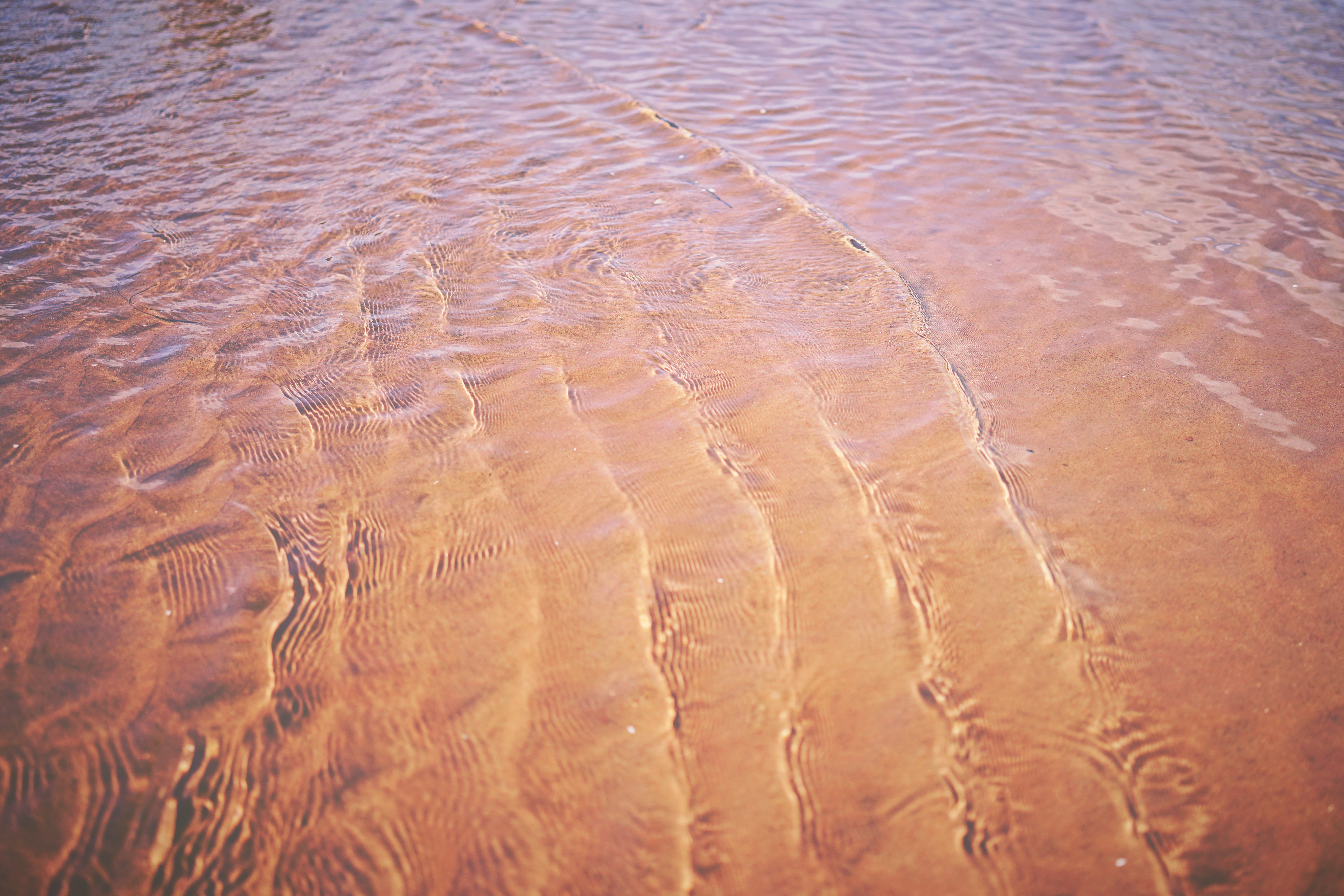 calm, red sand, sand, clear, day, land, backgrounds, animal, nature, wave pattern, brown, beach, close-up, full frame, no people, tranquility, natural pattern, HD Wallpaper