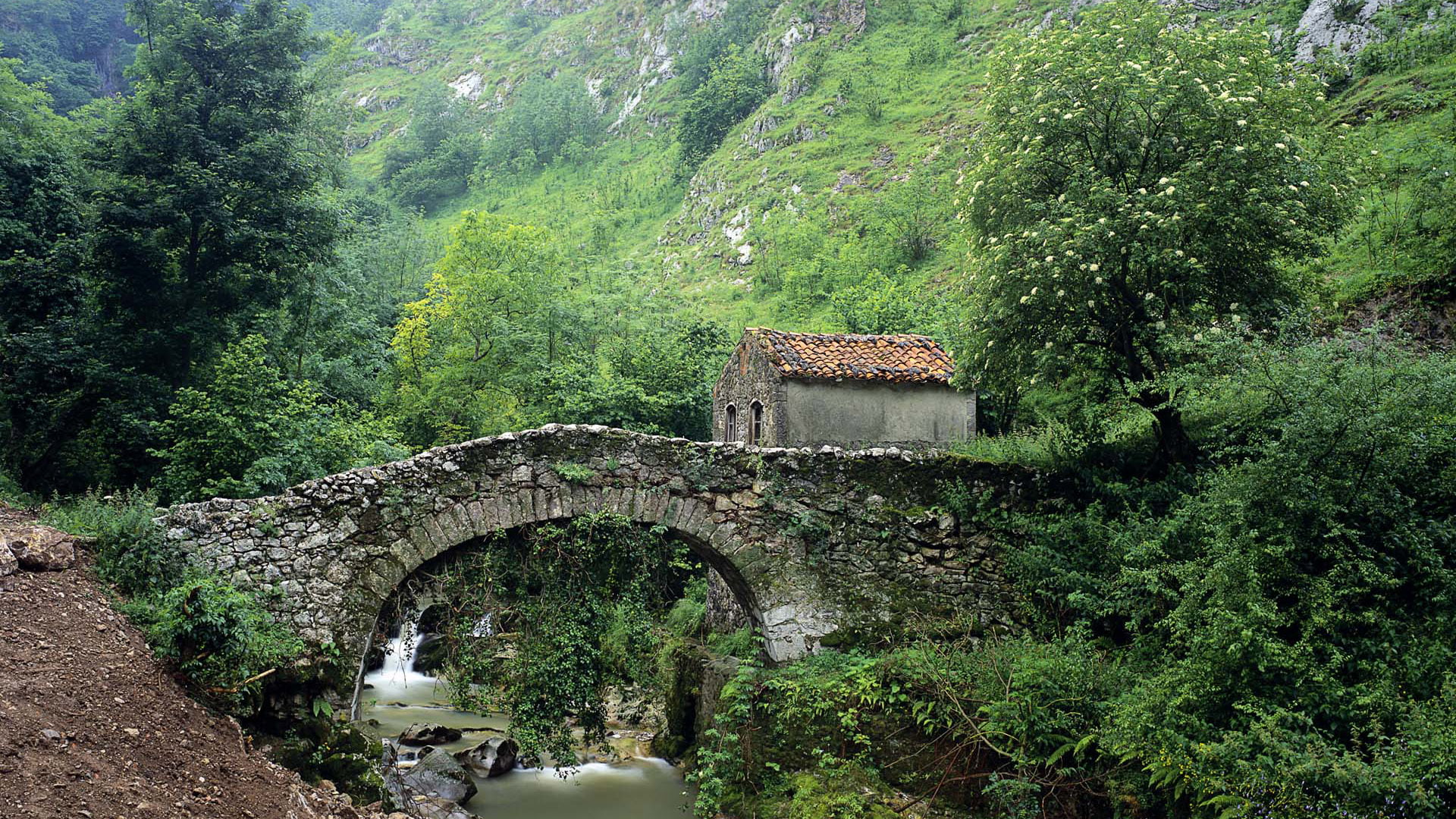 scenics - nature, famous, landscape, 1080P, bridge, europe, building, old, viaduct, architecture, day, growth, plant, passageway, forest, landmark, bridge - man made structure, HD Wallpaper
